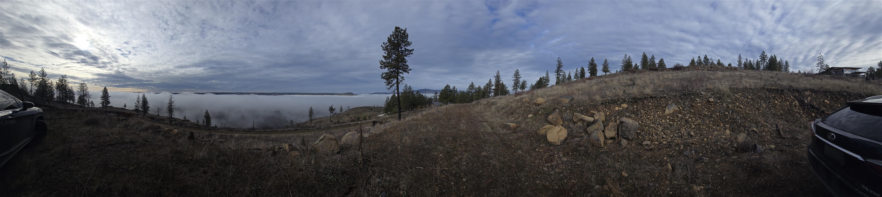 XX Pine Ridge Way - Photo 13