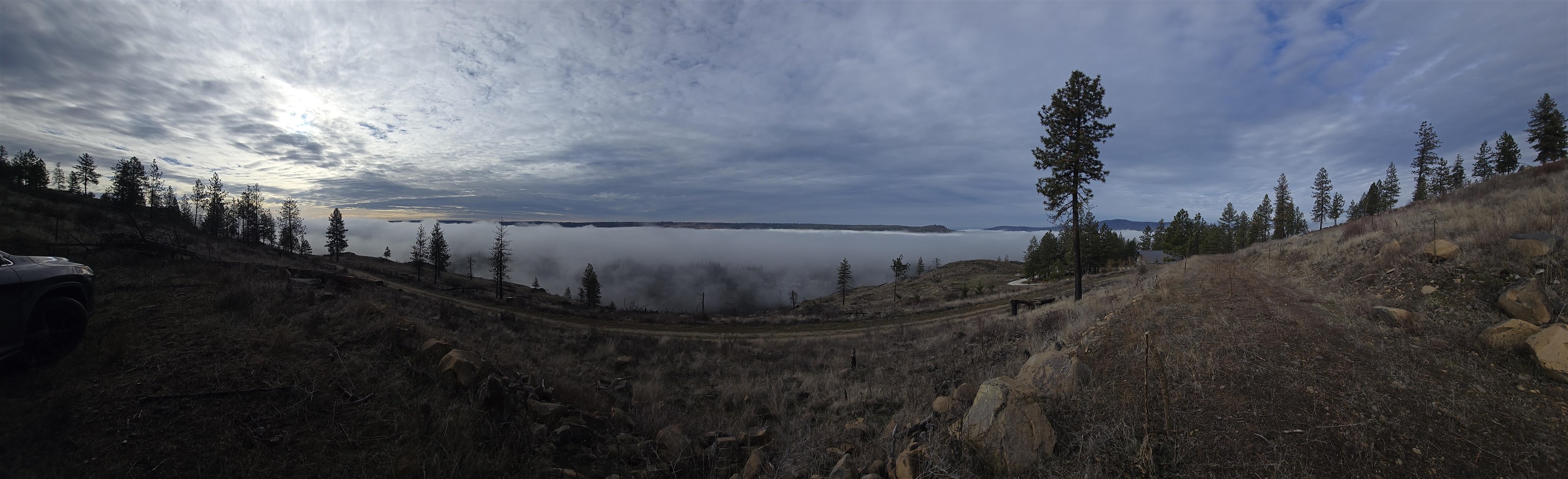 XX Pine Ridge Way - Photo 14