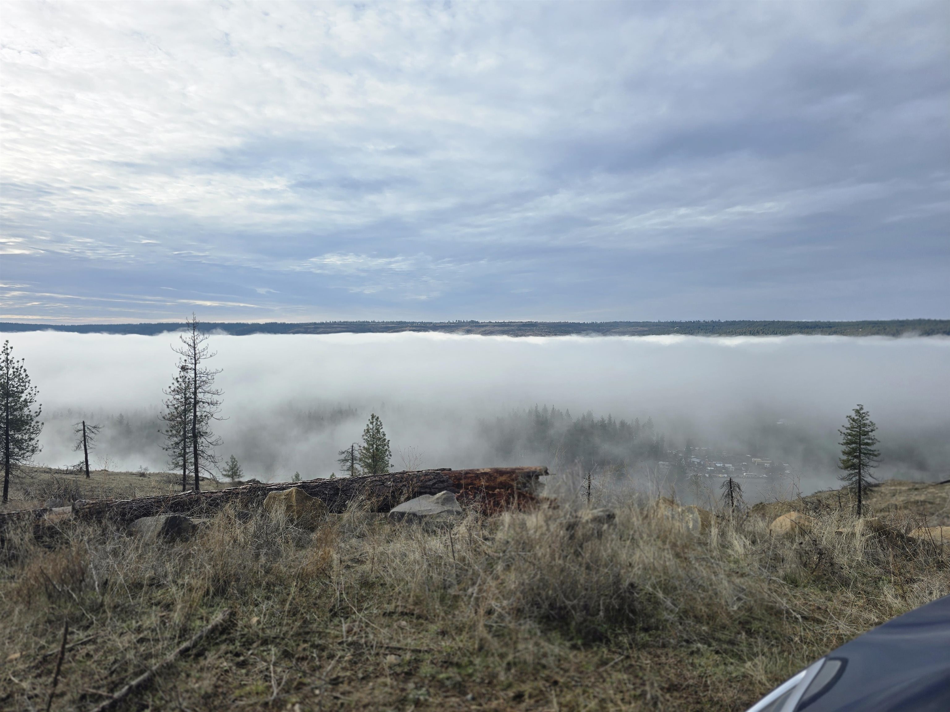 XX Pine Ridge Way - Photo 8