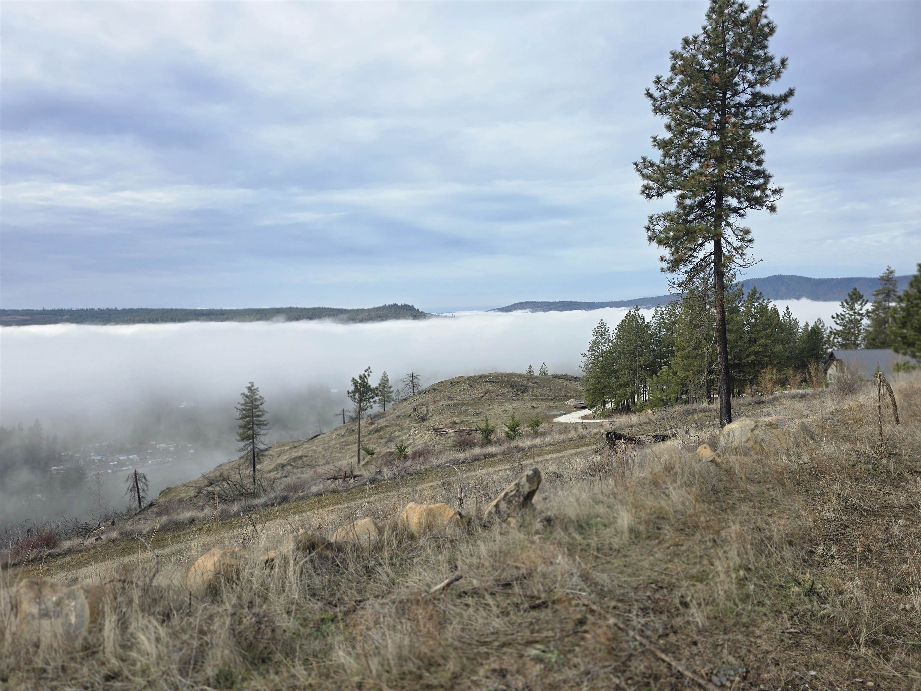 XX Pine Ridge Way - Photo 9