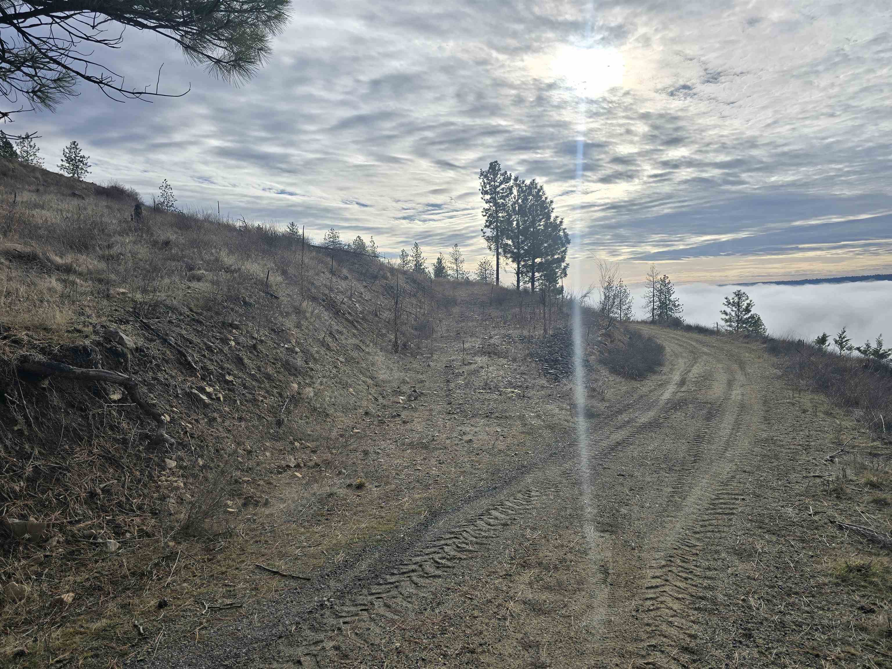 XX Pine Ridge Way - Photo 10