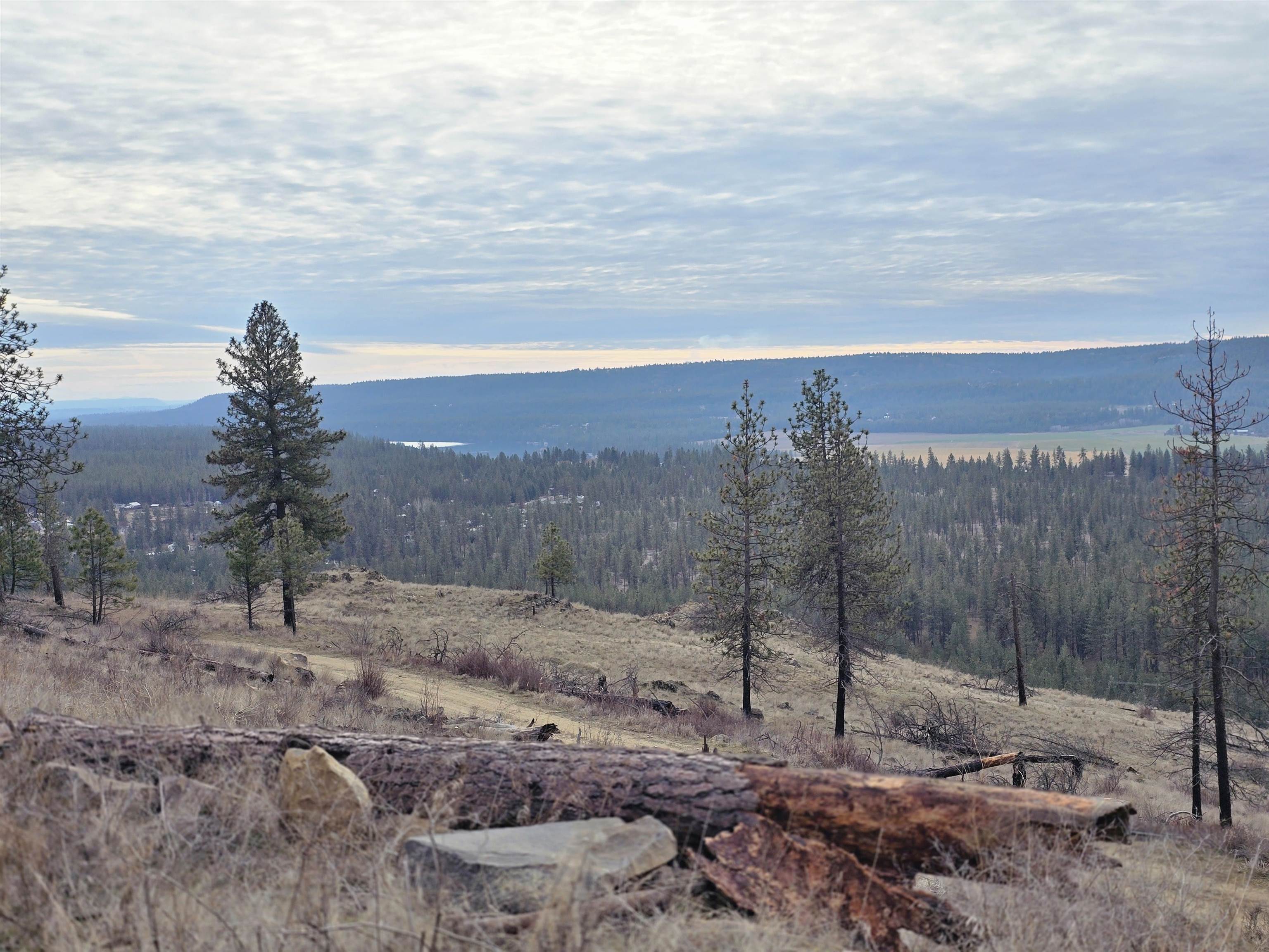 XX Pine Ridge Way - Photo 3