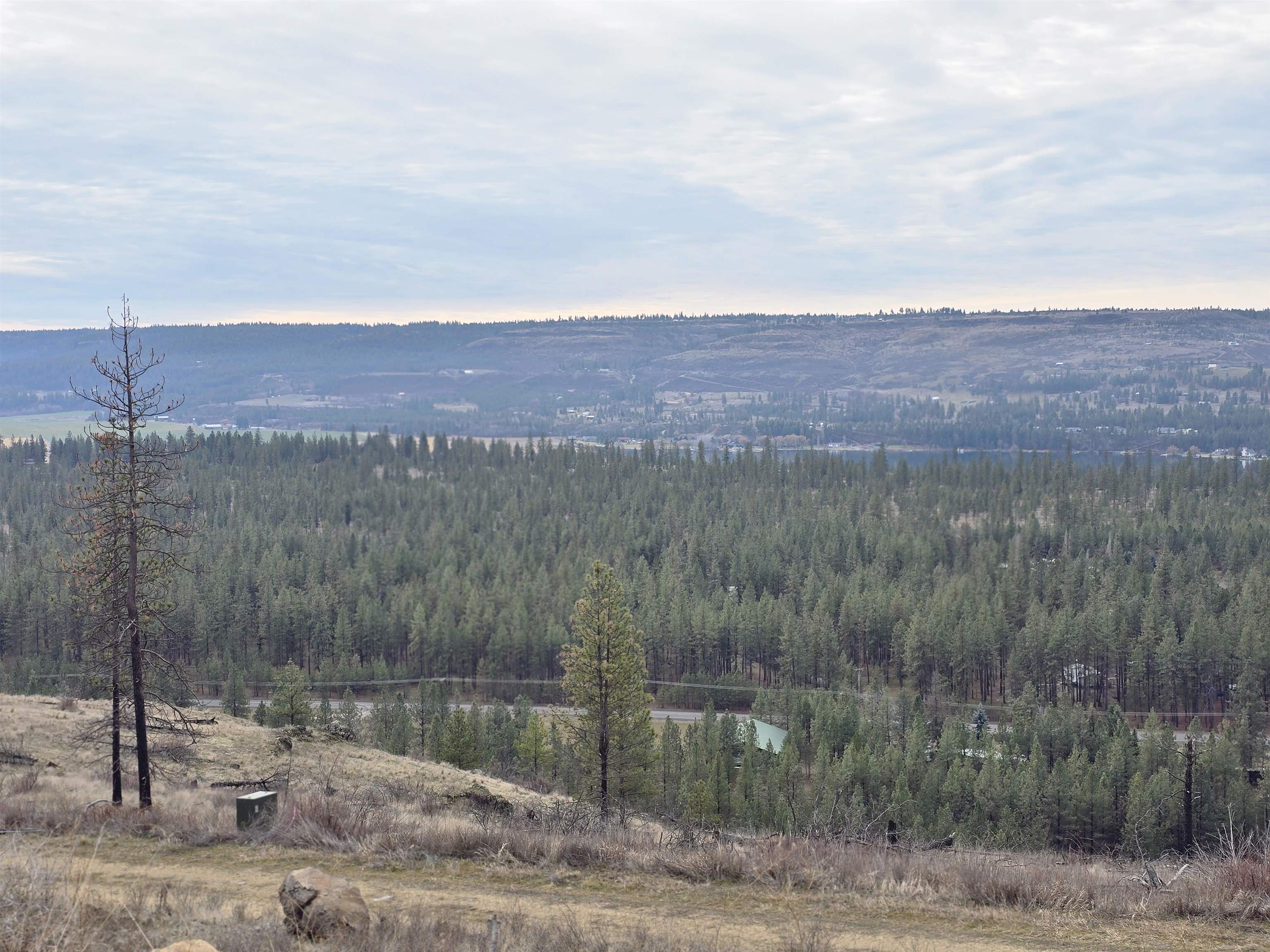 XX Pine Ridge Way - Photo 11