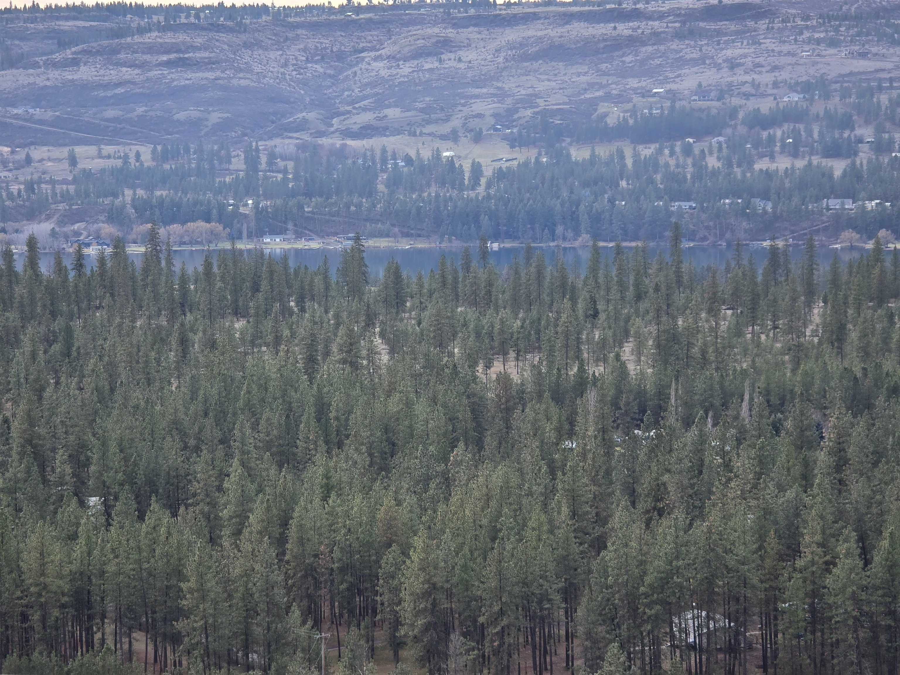 XX Pine Ridge Way - Photo 12
