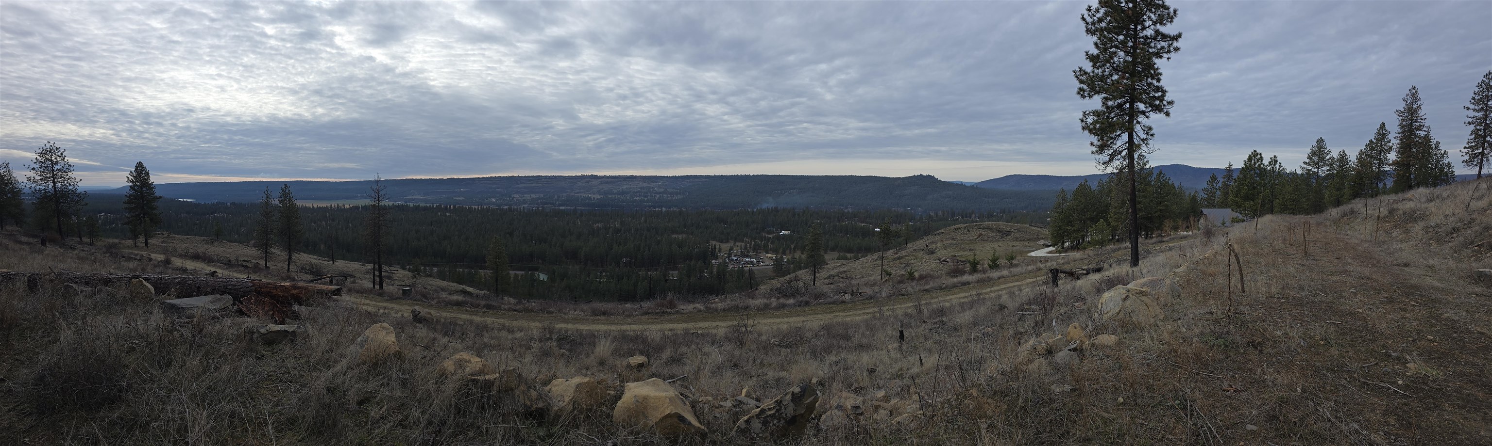 XX Pine Ridge Way - Photo 15