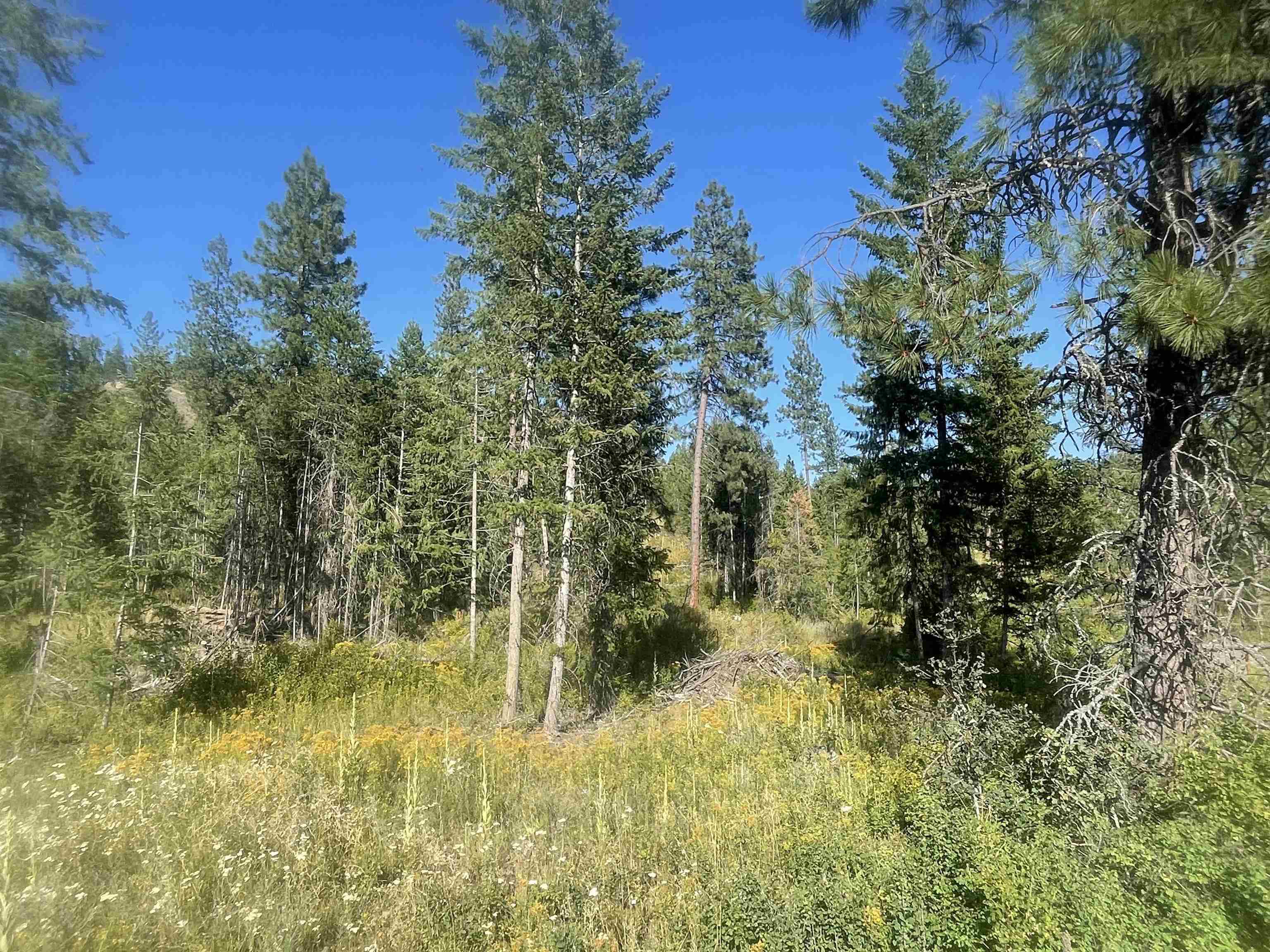 NKN Bead Lake Road Rd - Photo 16