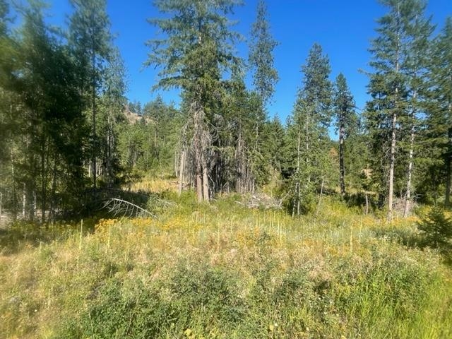 NKN Bead Lake Road Rd - Photo 9