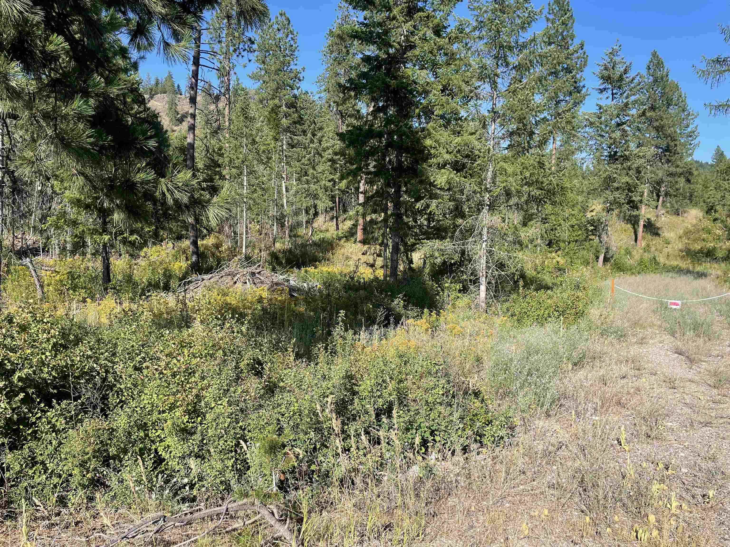 NKN Bead Lake Road Rd - Photo 14