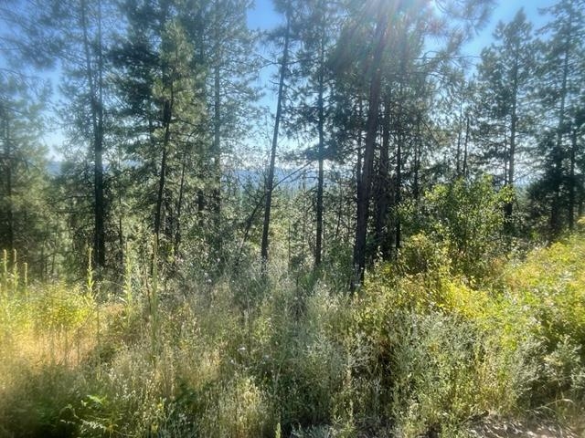 NKN Bead Lake Road Rd - Photo 19