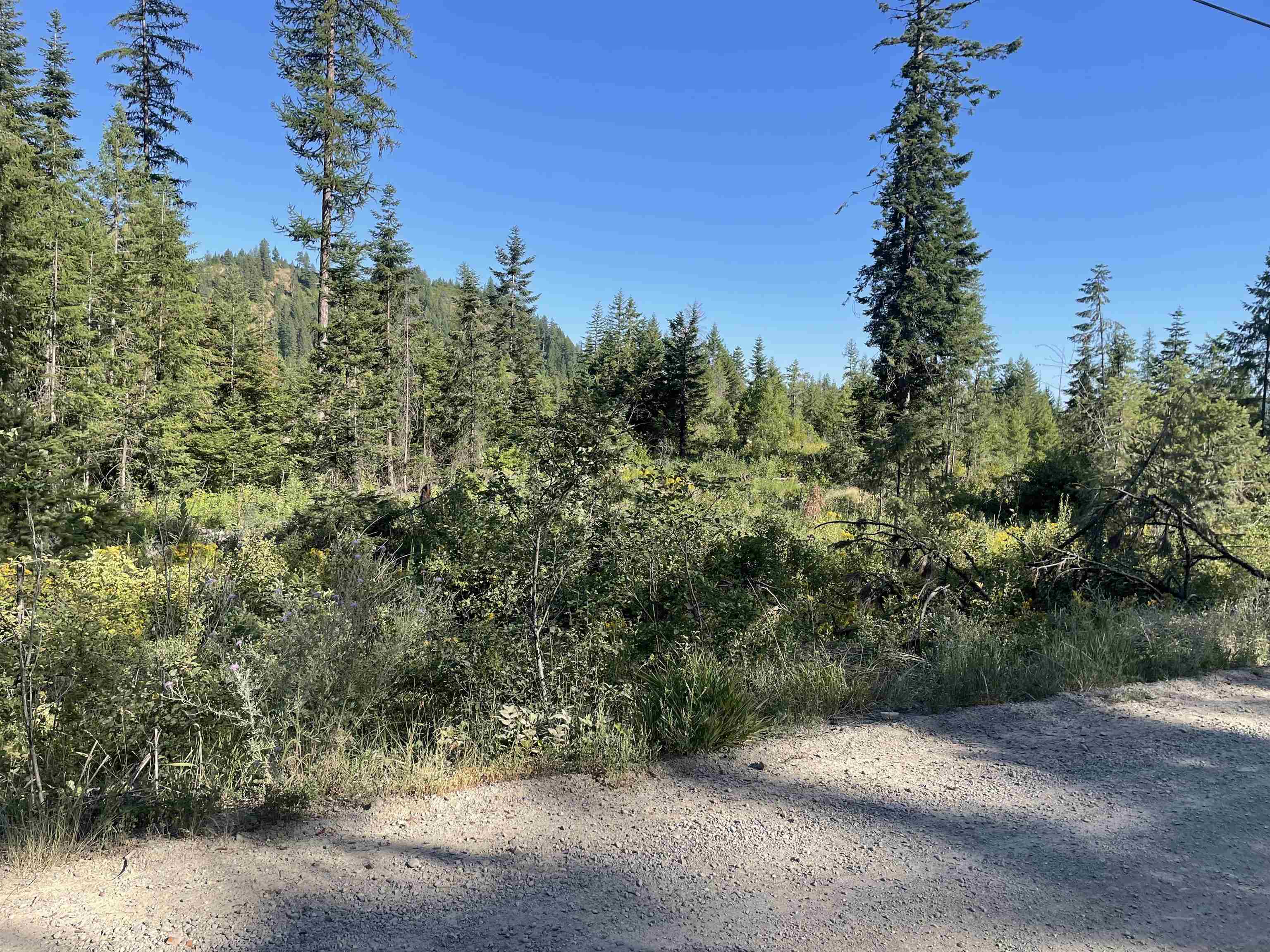 NKN Bead Lake Road Rd - Photo 20