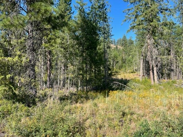 NKN Bead Lake Road Rd - Photo 18