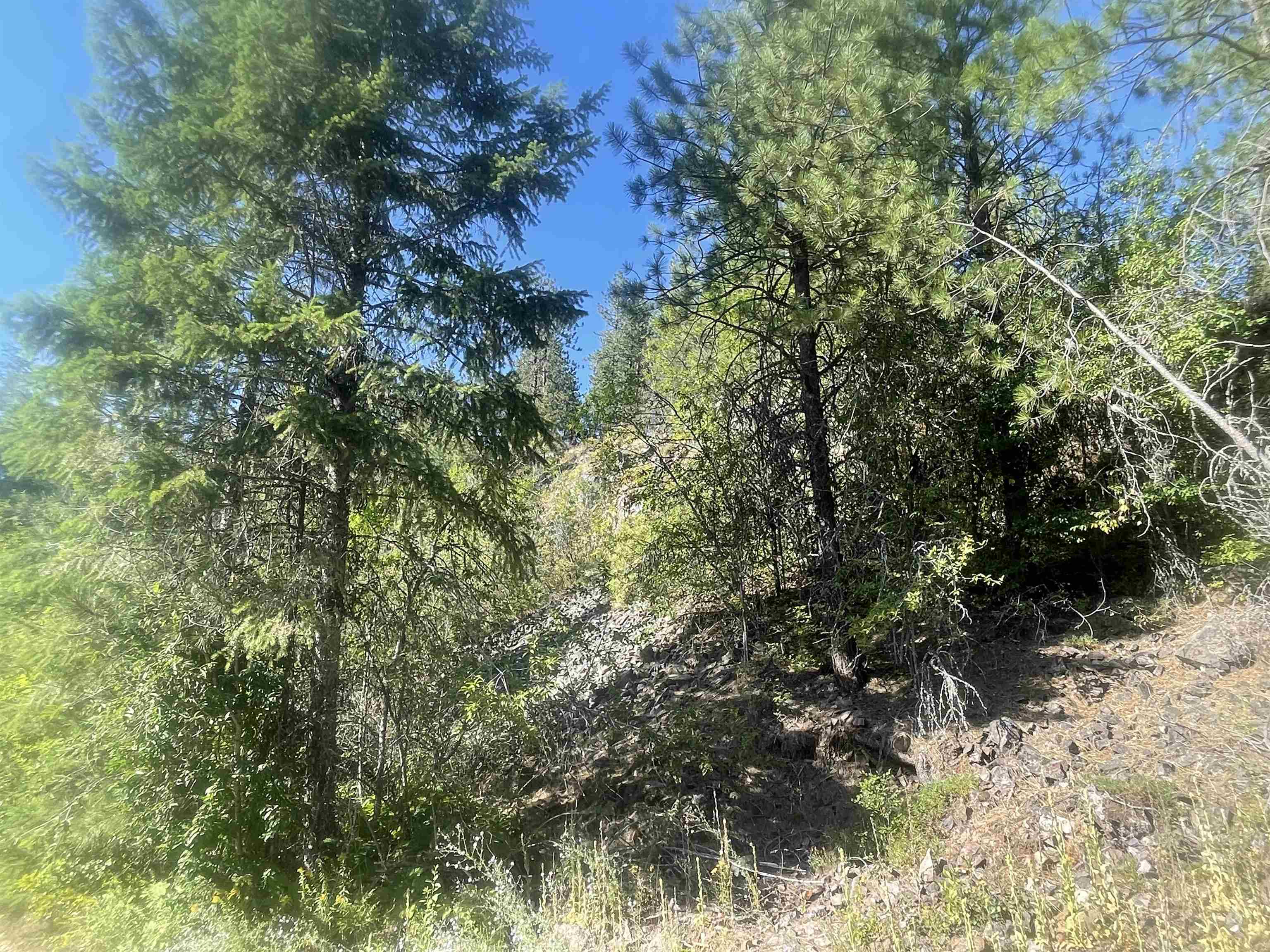 NKN Bead Lake Road Rd - Photo 15