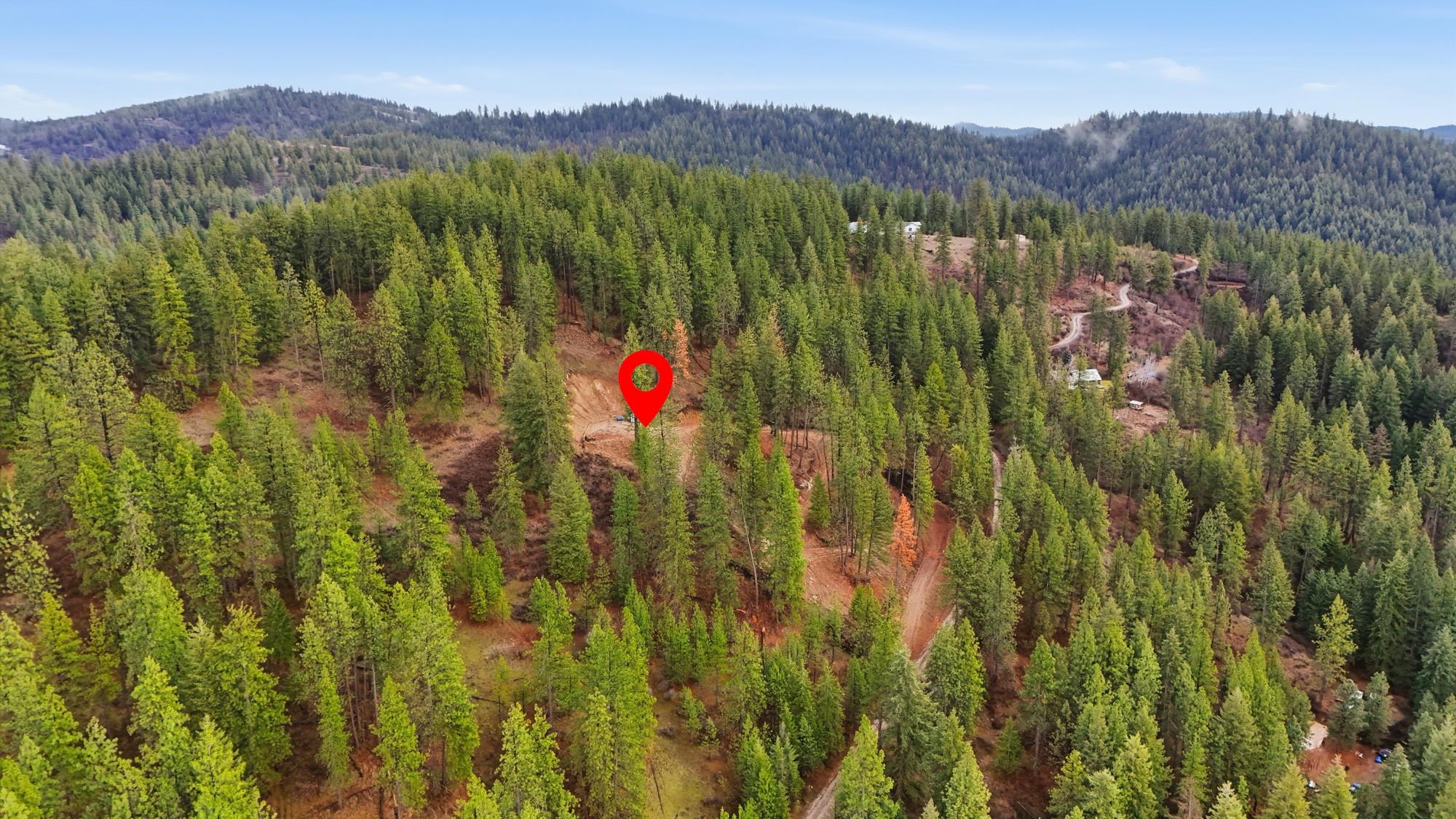 XXX Timberlane Cir - Photo 6