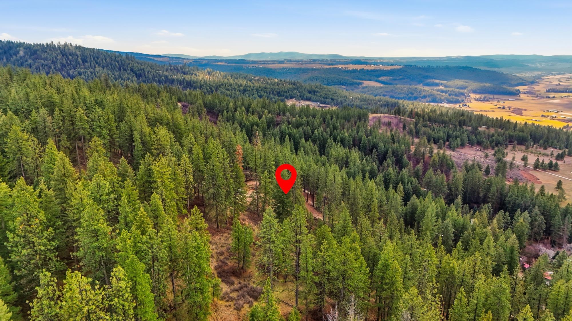 XXX Timberlane Cir - Photo 8