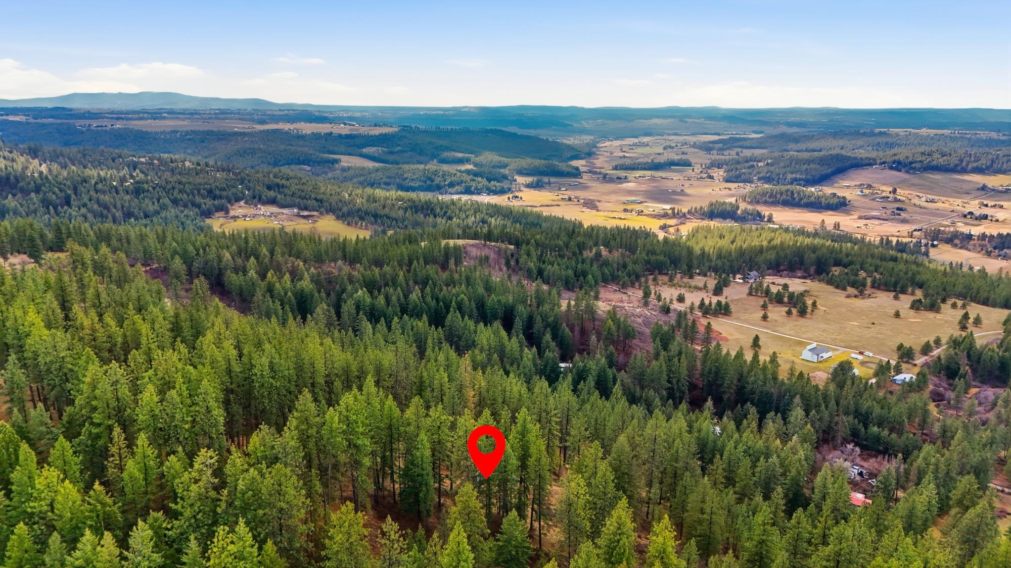 XXX Timberlane Cir - Photo 10