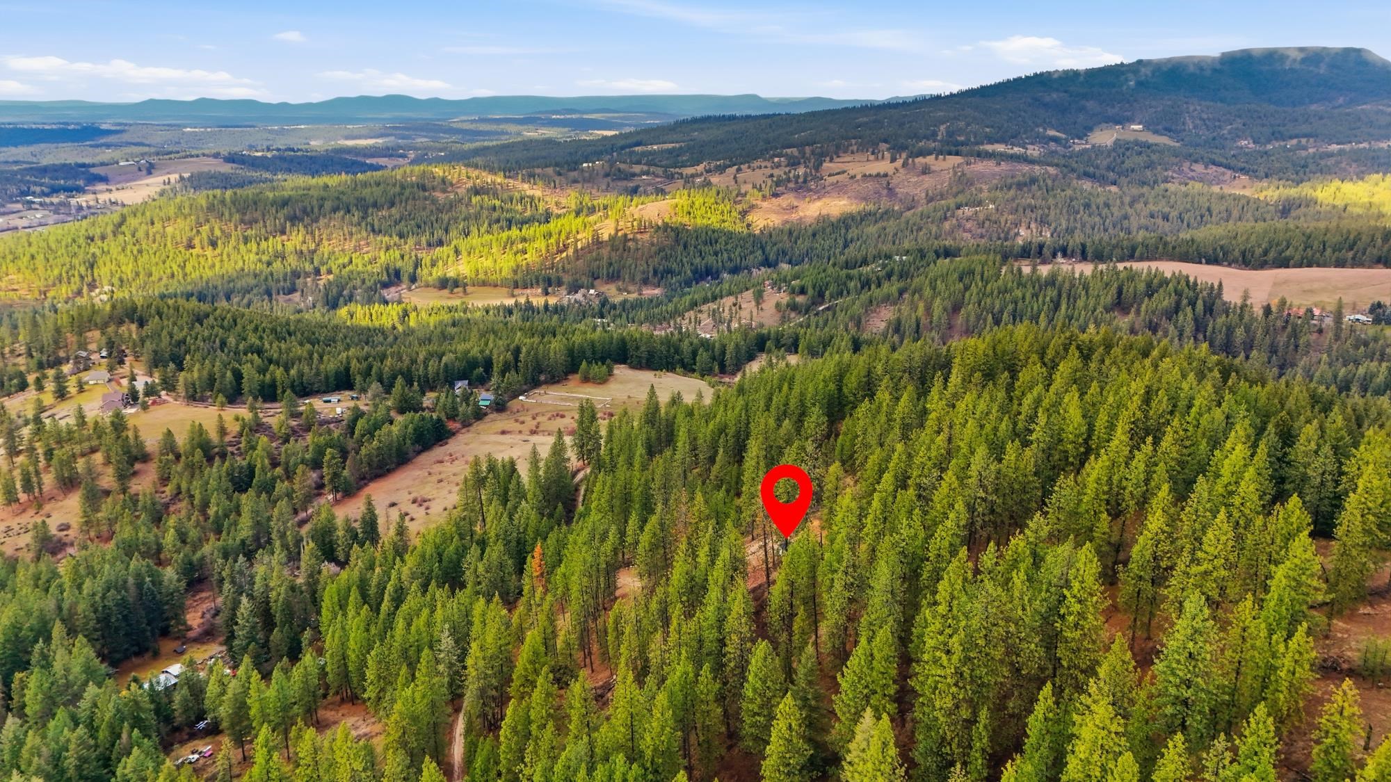 XXX Timberlane Cir - Photo 14