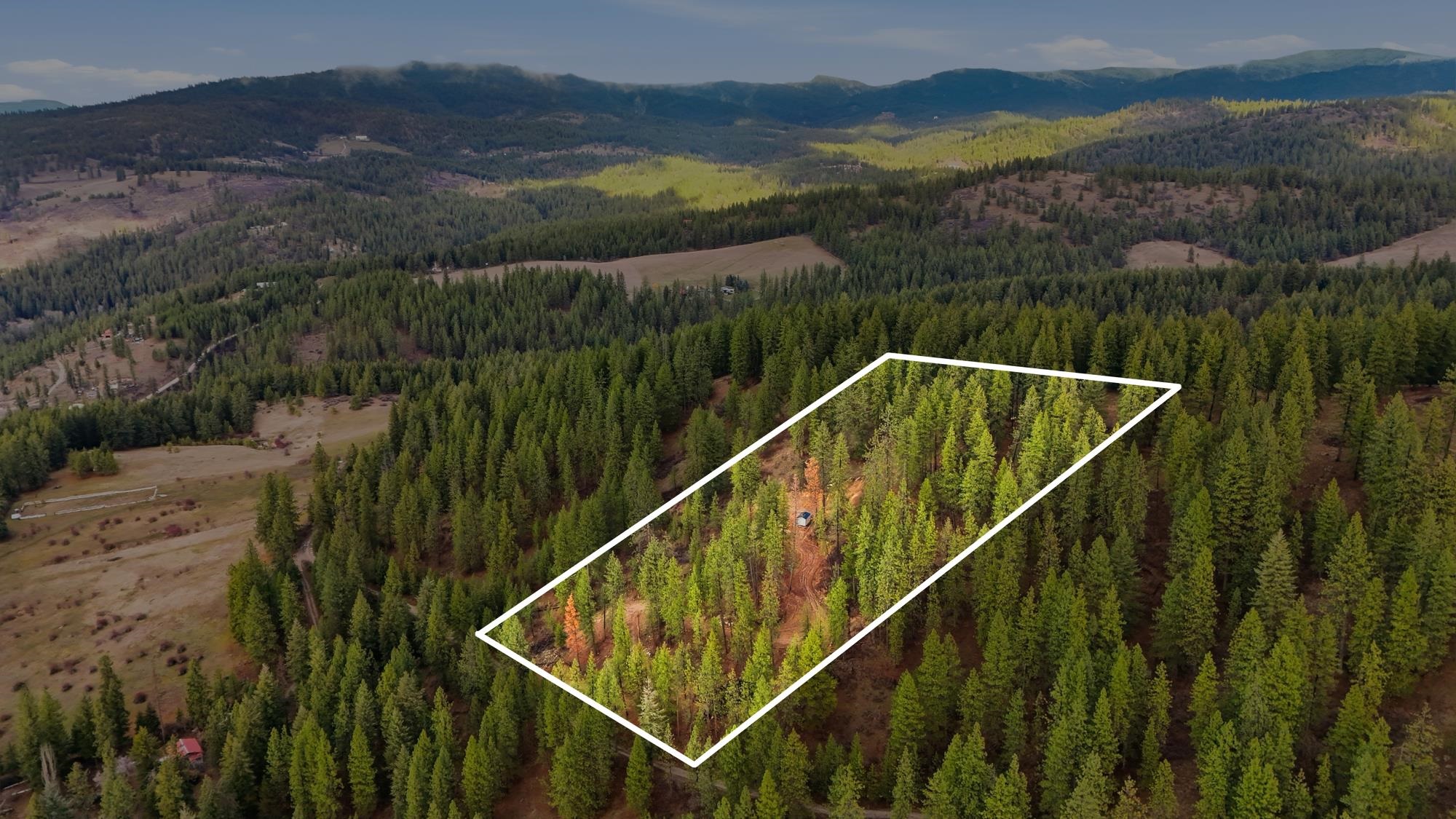 XXX Timberlane Cir - Photo 16