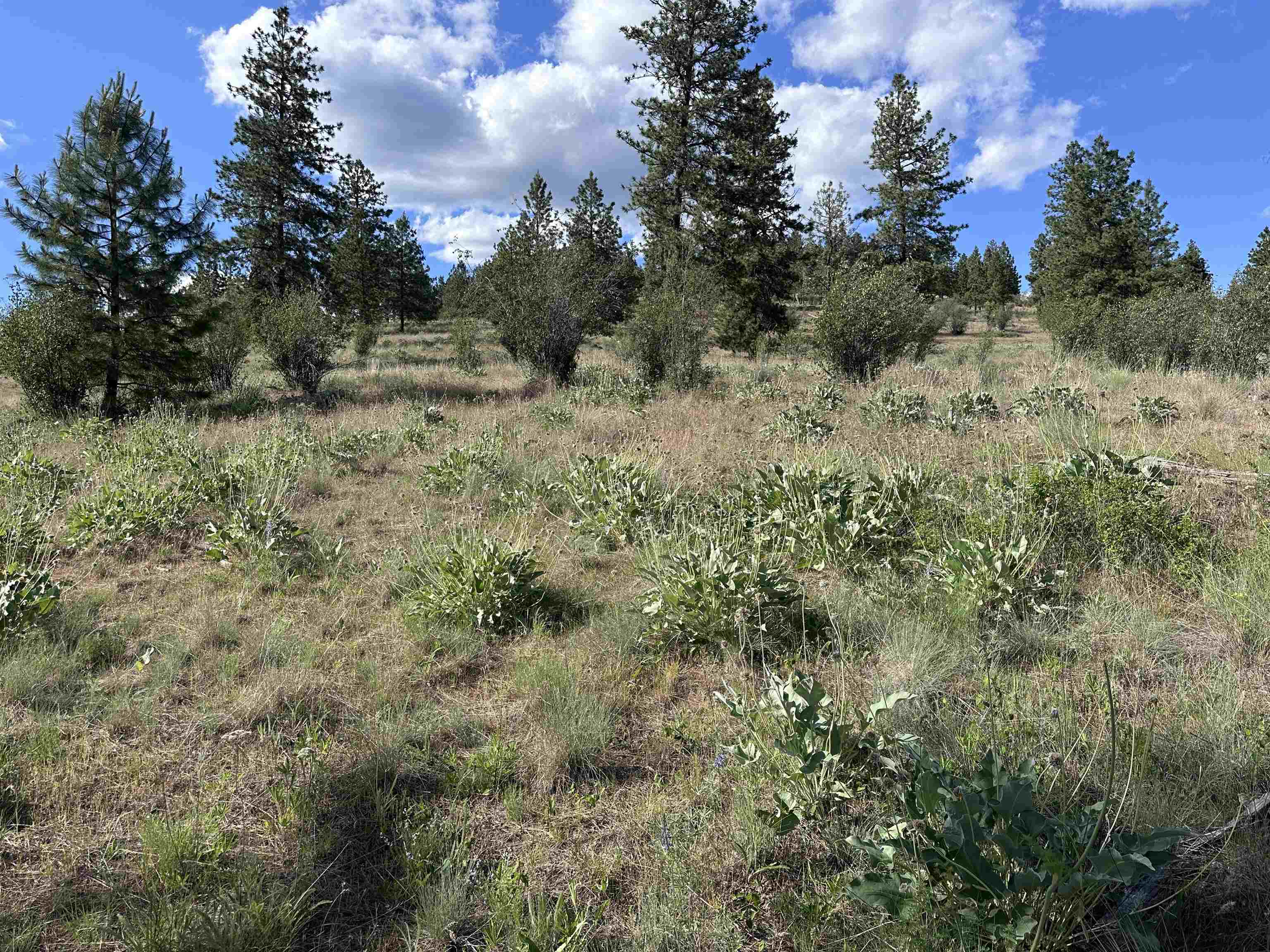 6581 Saddle Mountain Way - Photo 2