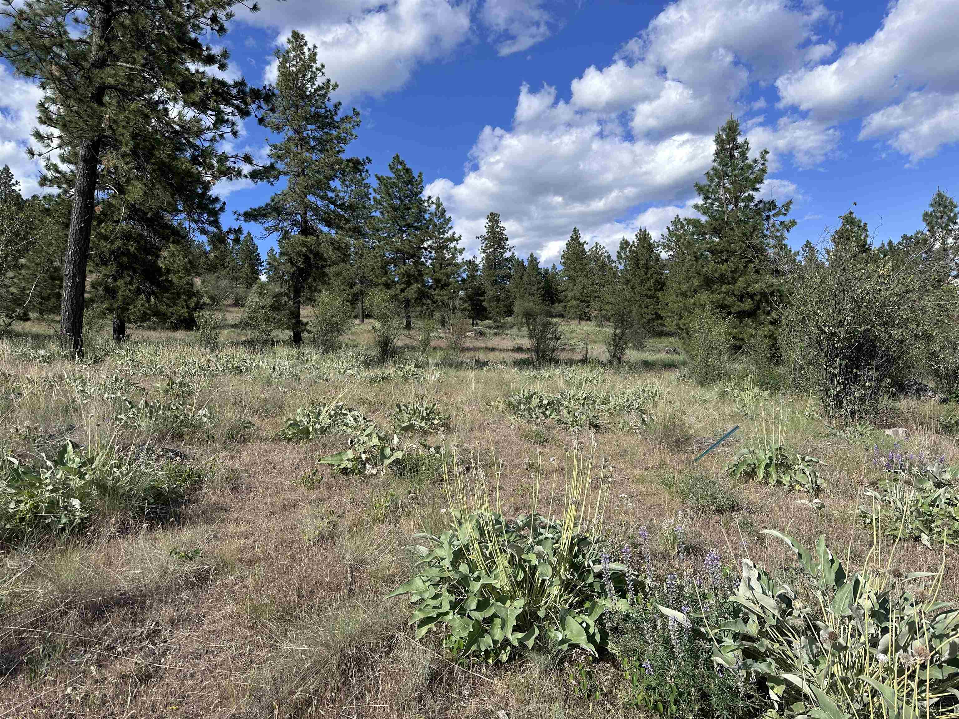 6581 Saddle Mountain Way - Photo 3