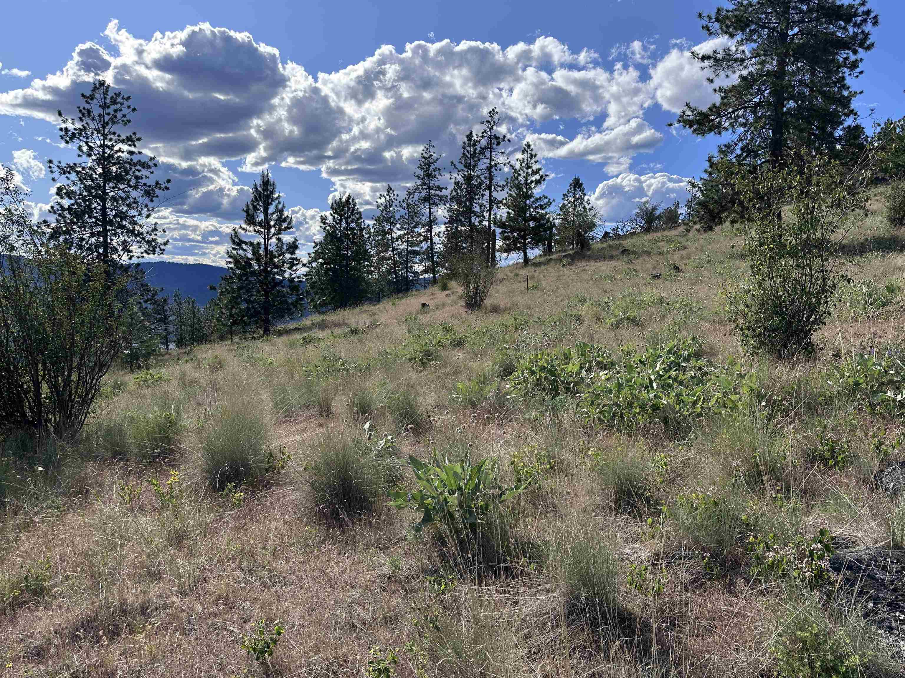 6581 Saddle Mountain Way - Photo 4