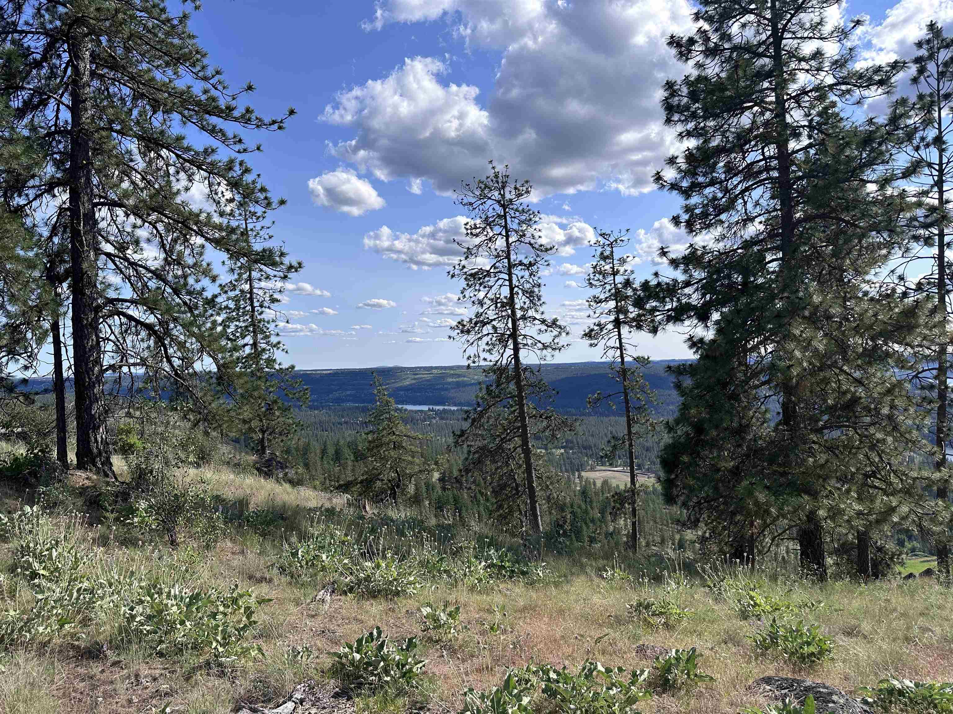 6581 Saddle Mountain Way - Photo 6