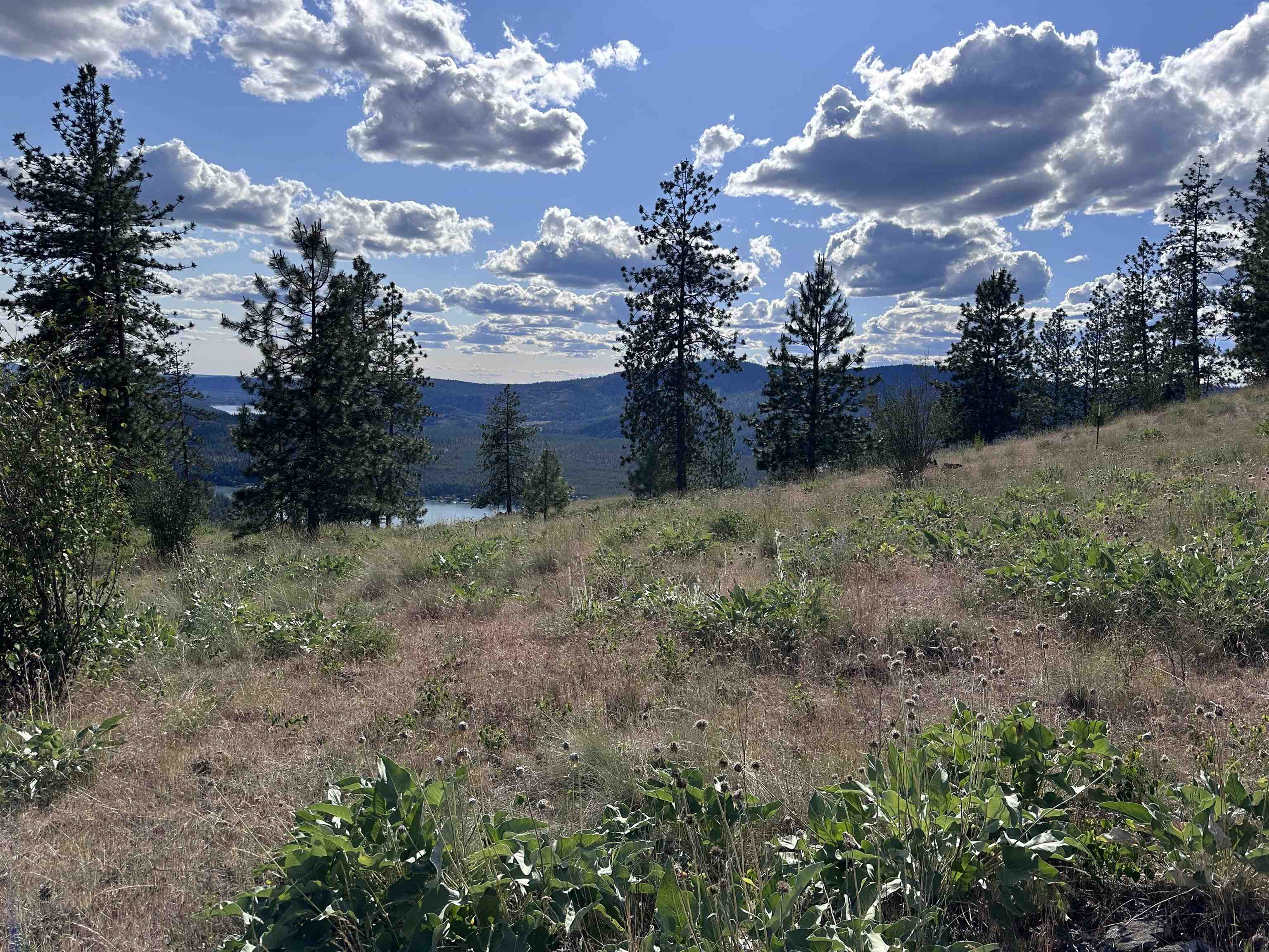 6581 Saddle Mountain Way - Photo 8