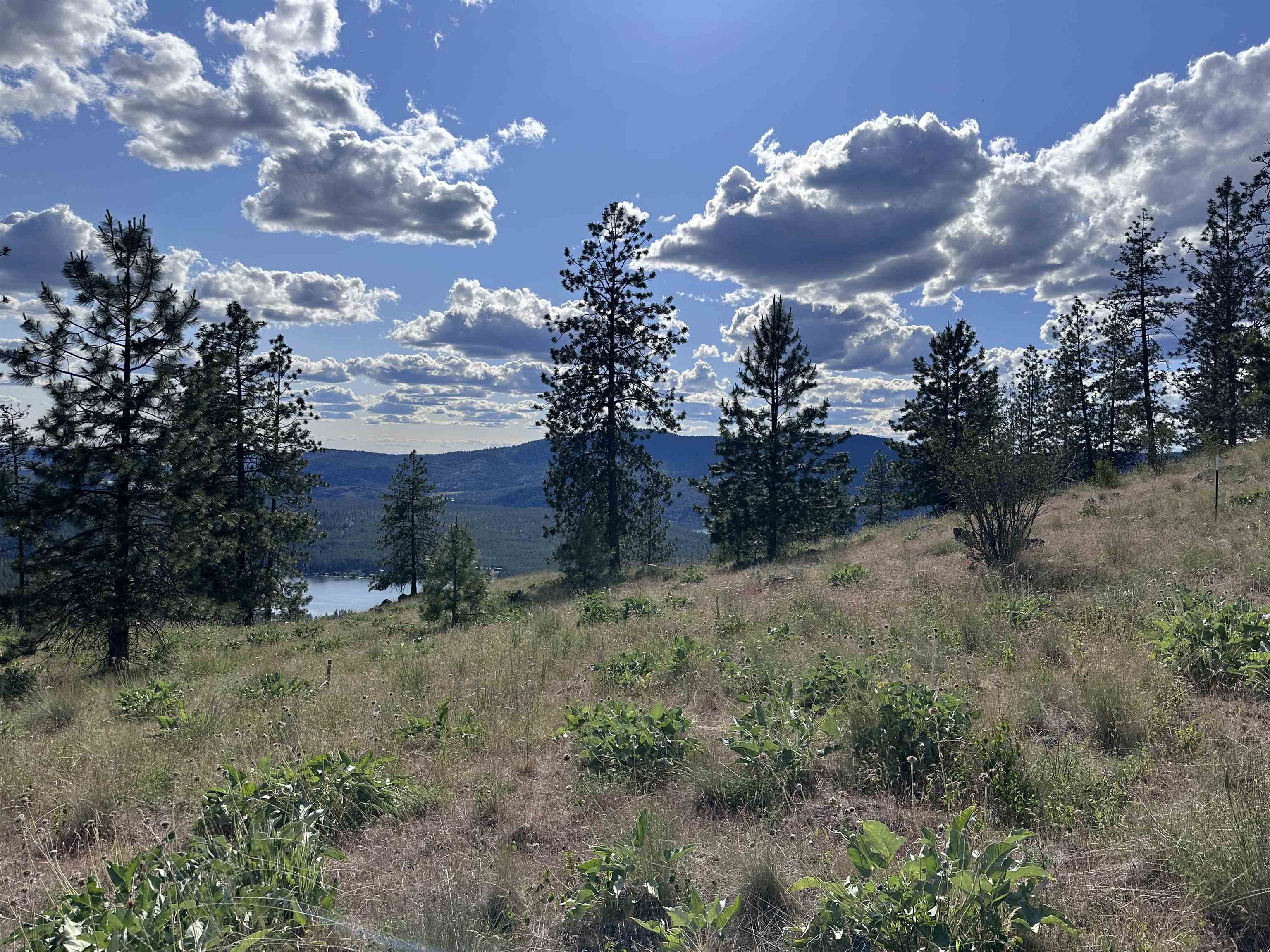 6581 Saddle Mountain Way - Photo 9