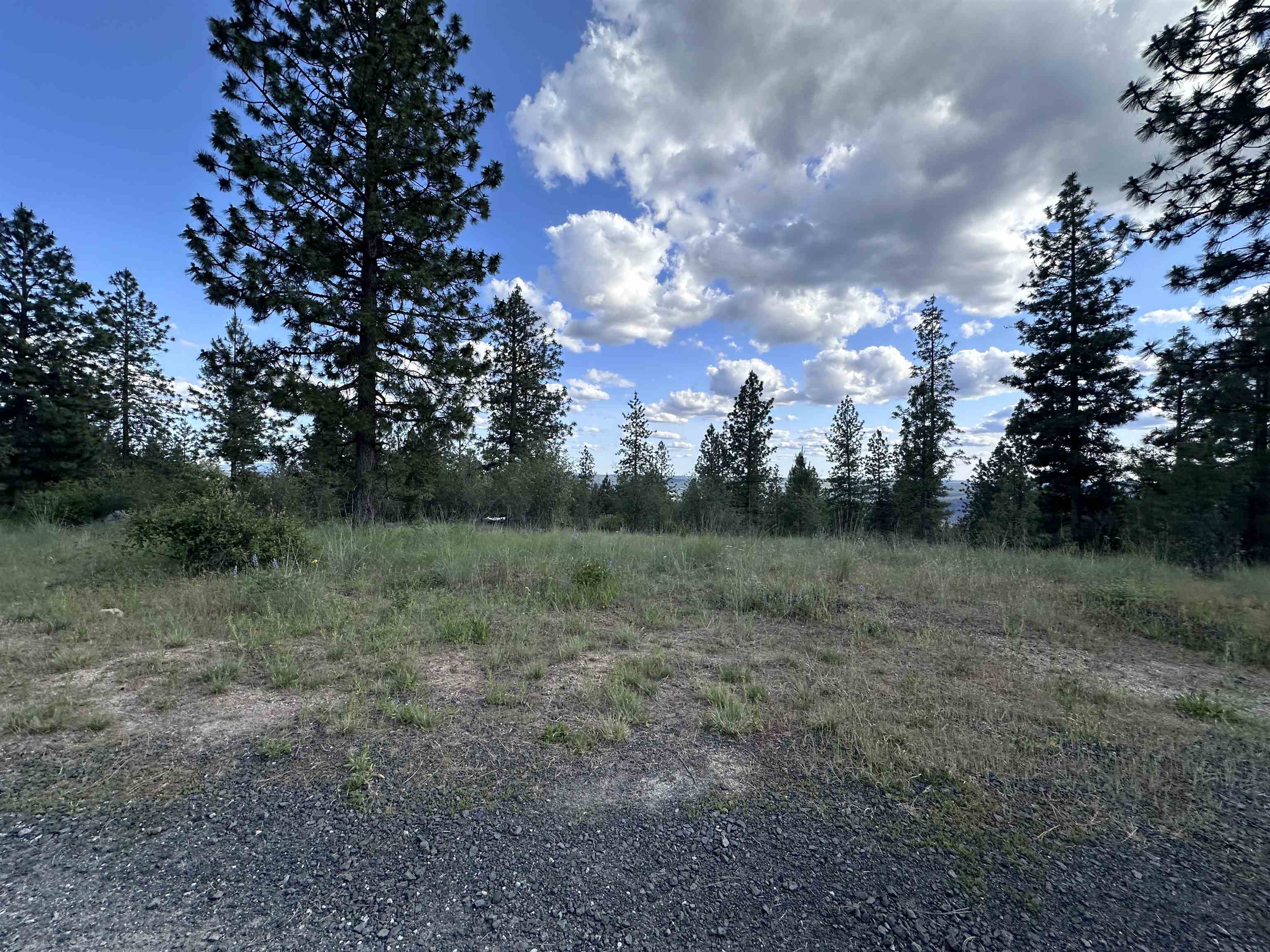 6581 Saddle Mountain Way - Photo 10