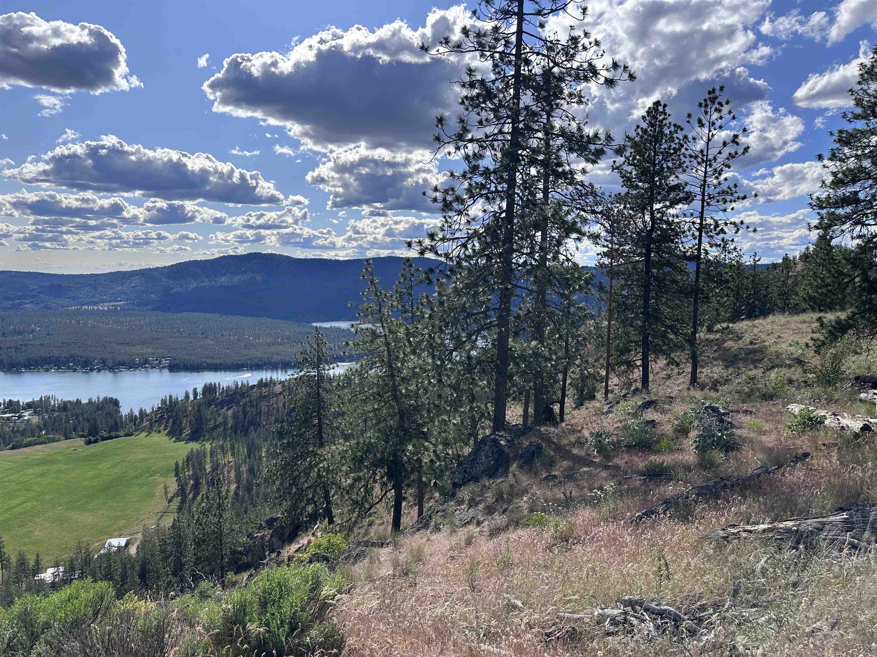 6581 Saddle Mountain Way - Photo 13