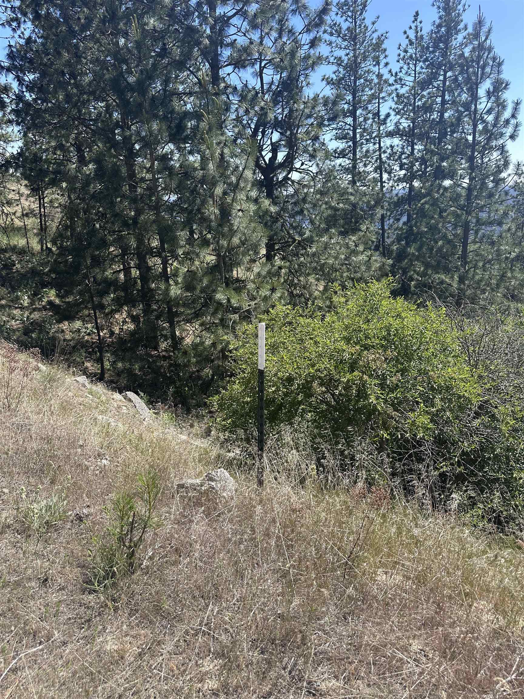 6581 Saddle Mountain Way - Photo 24