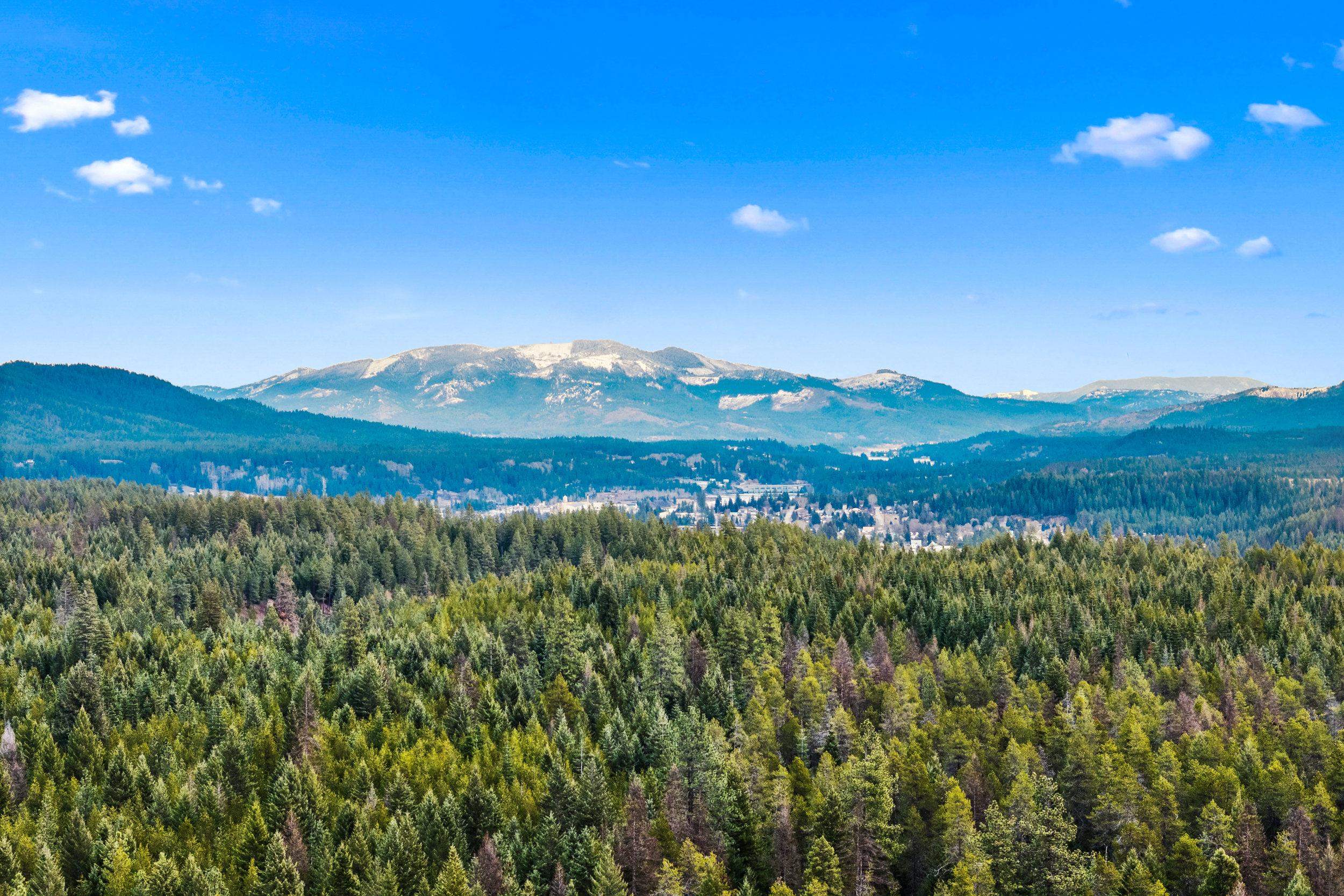 11651 Deer Valley Rd - Photo 40