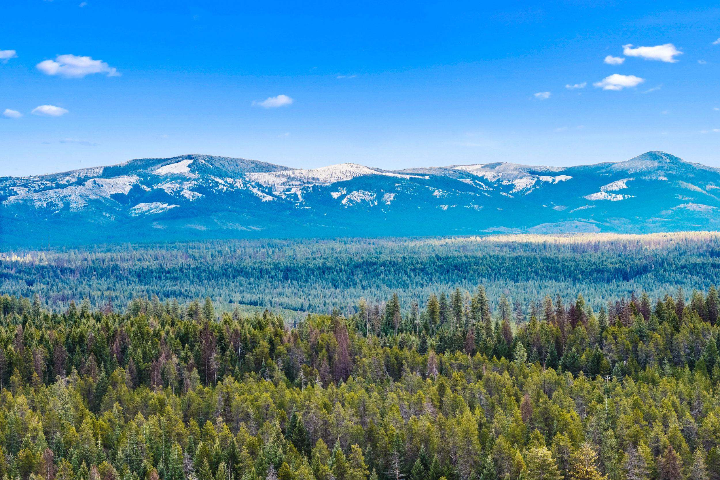 11651 Deer Valley Rd - Photo 41