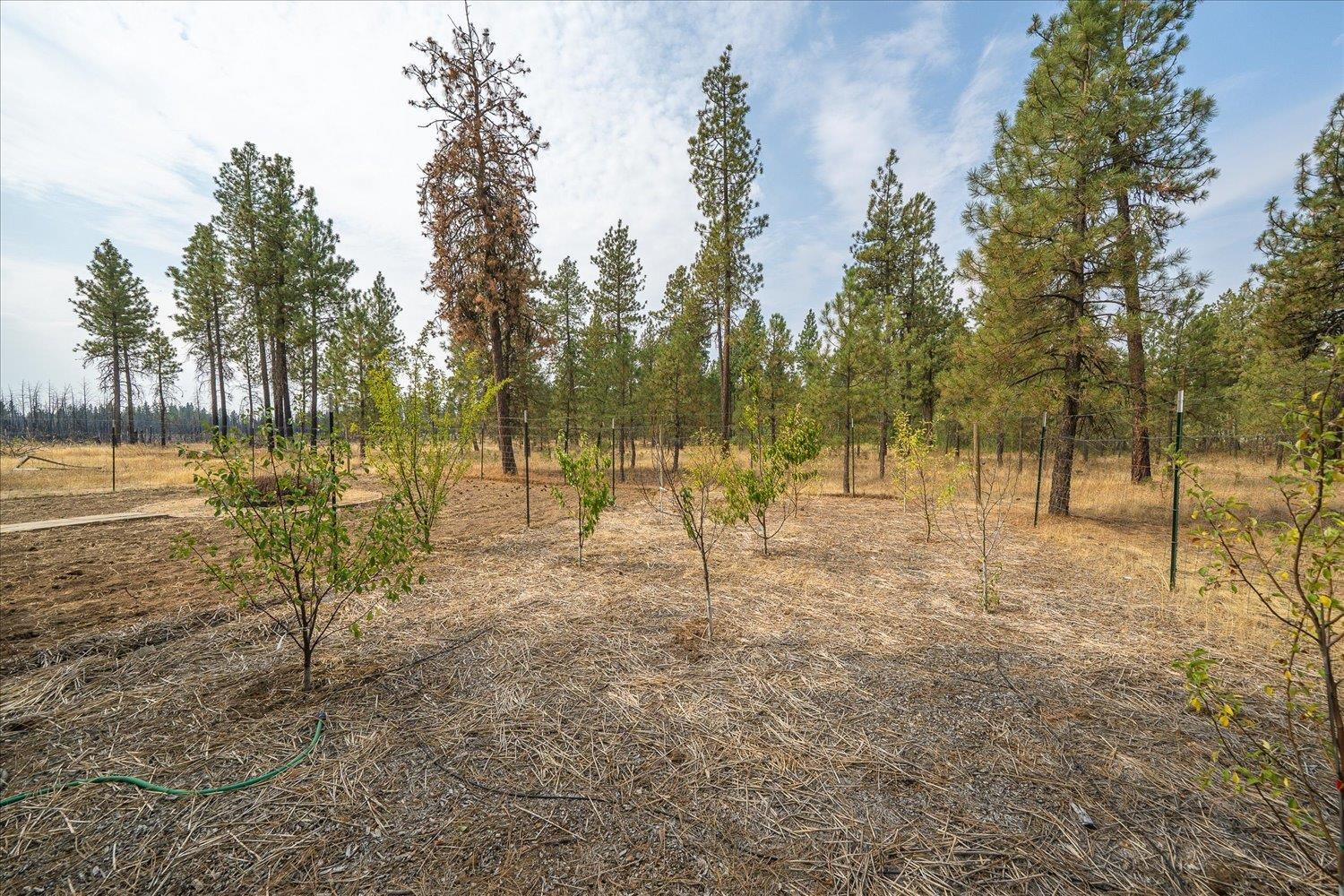 18206 S Hanson Pond Ln - Photo 32