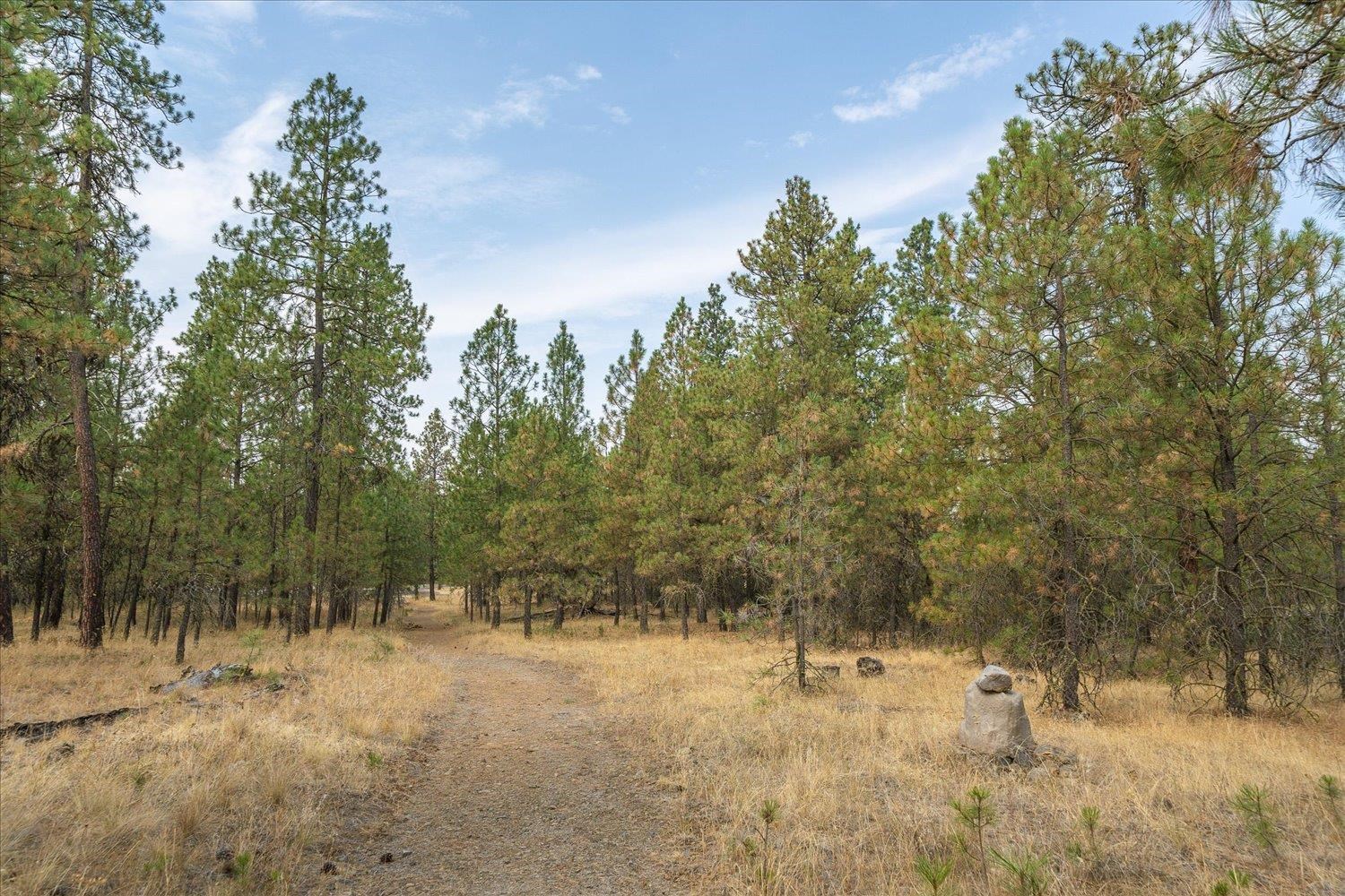 18206 S Hanson Pond Ln - Photo 33