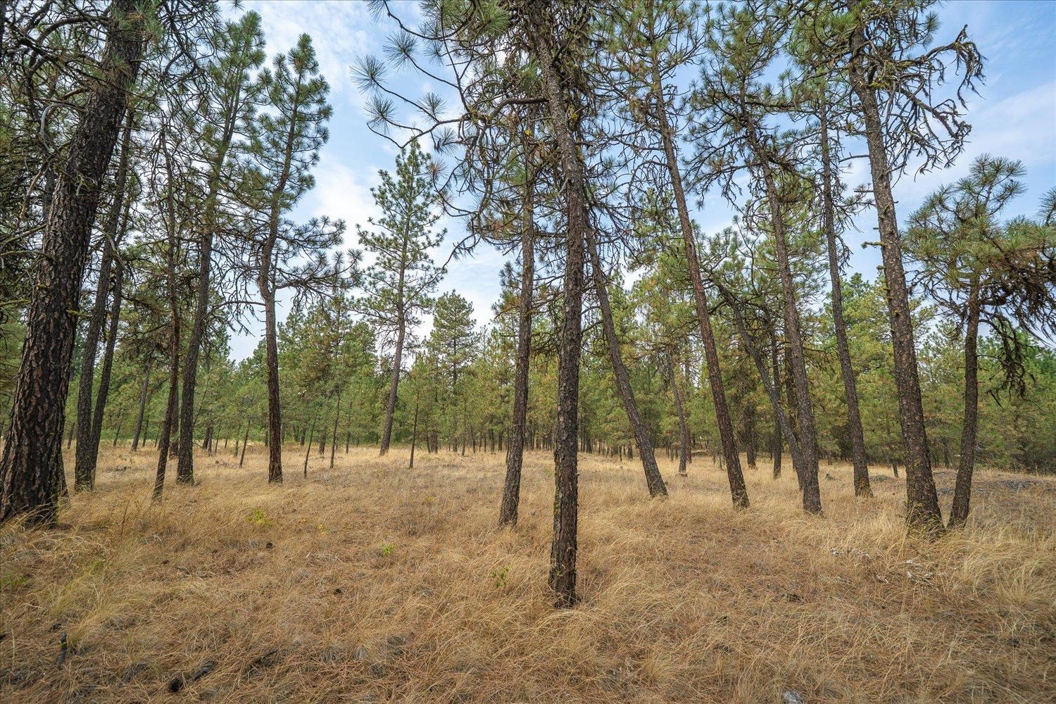 18206 S Hanson Pond Ln - Photo 34