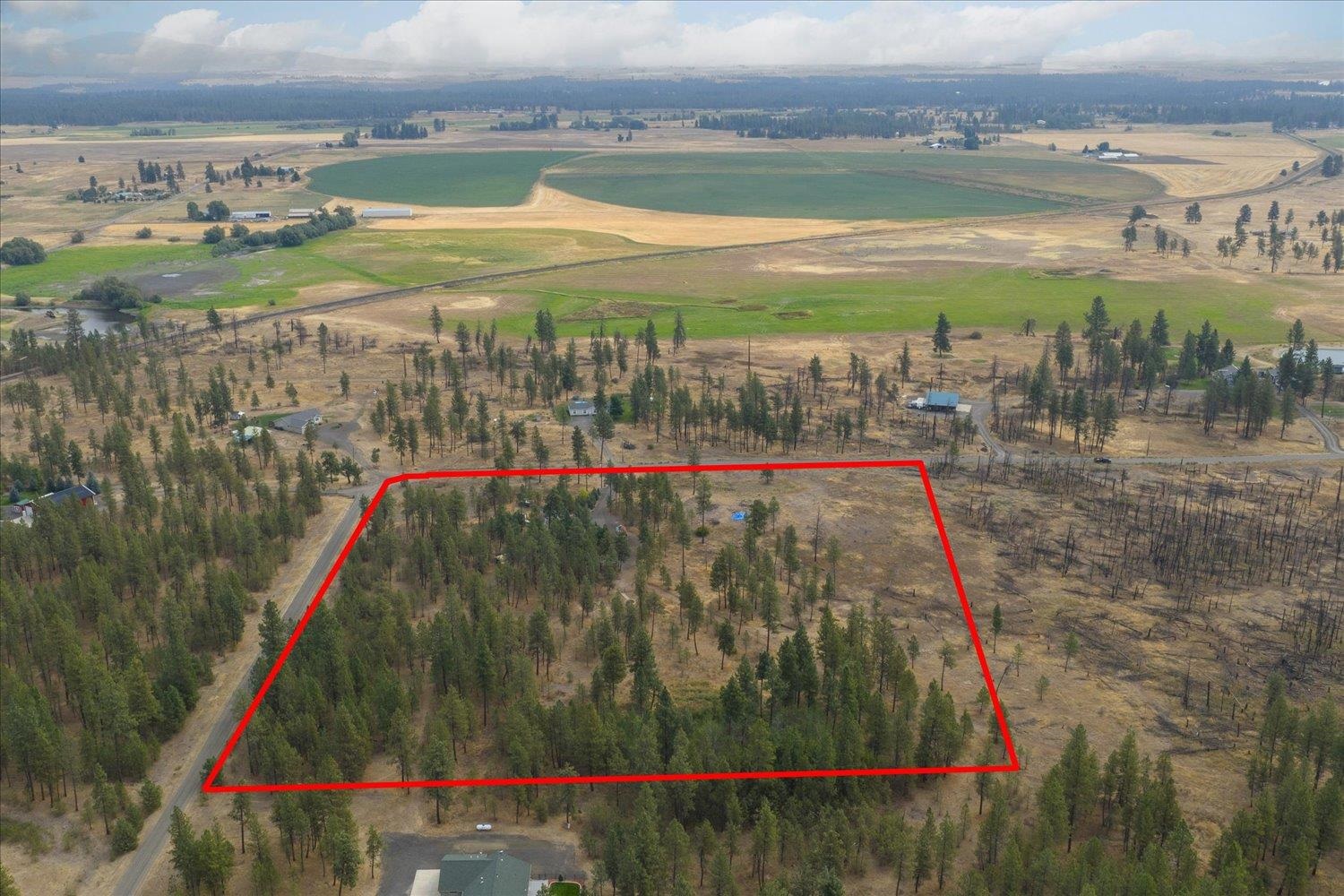 18206 S Hanson Pond Ln - Photo 47
