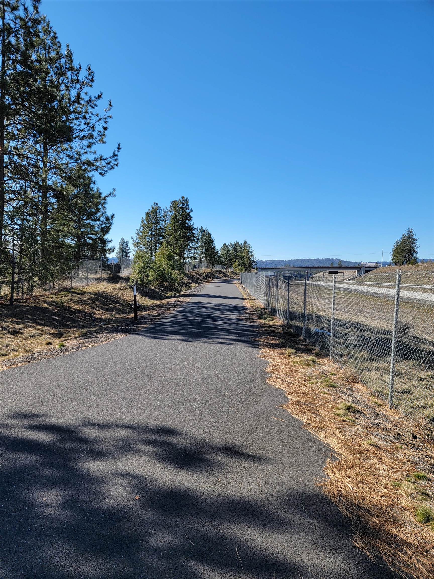 1516 E Center Rd - Photo 12