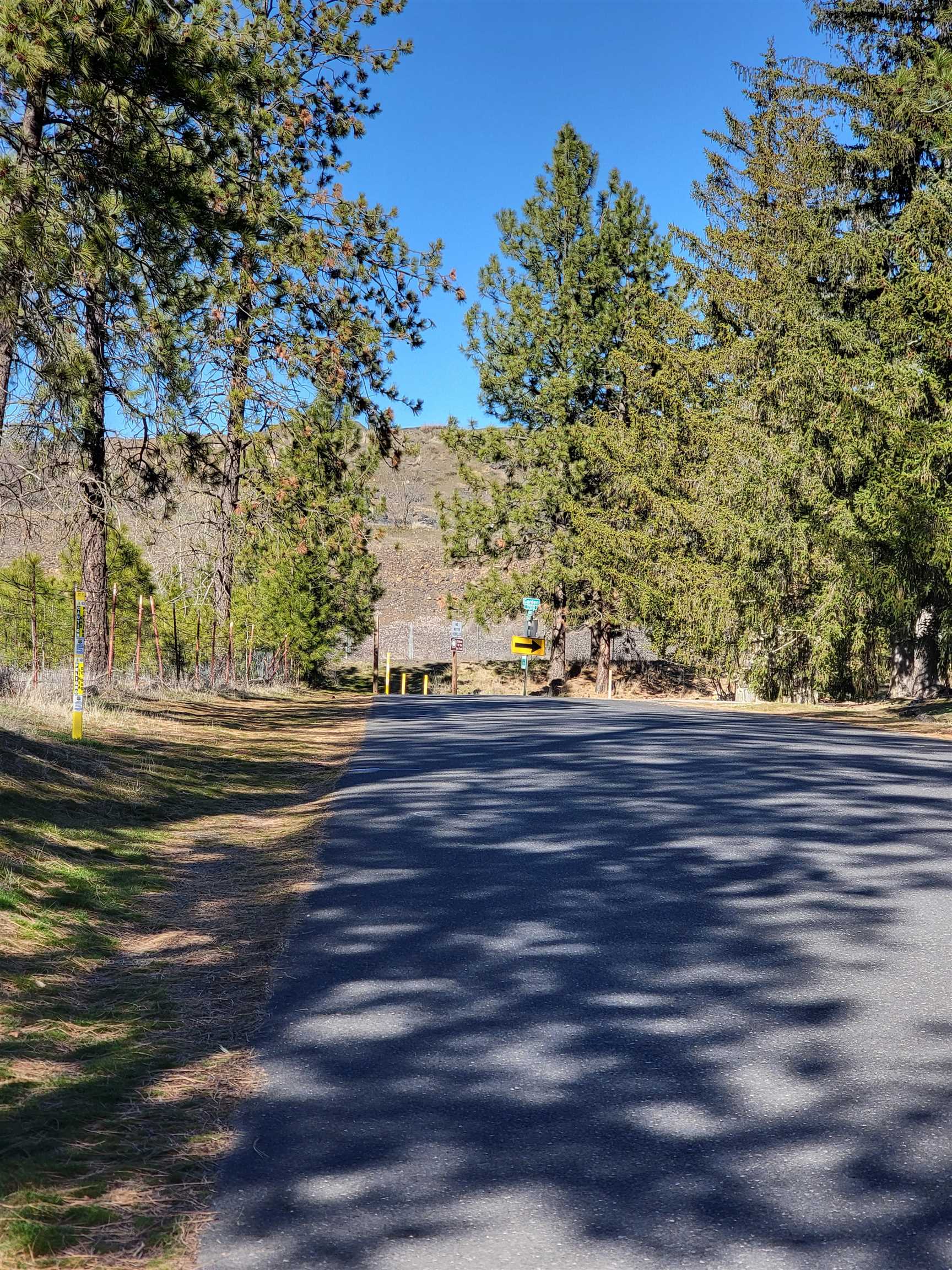 1516 E Center Rd - Photo 8