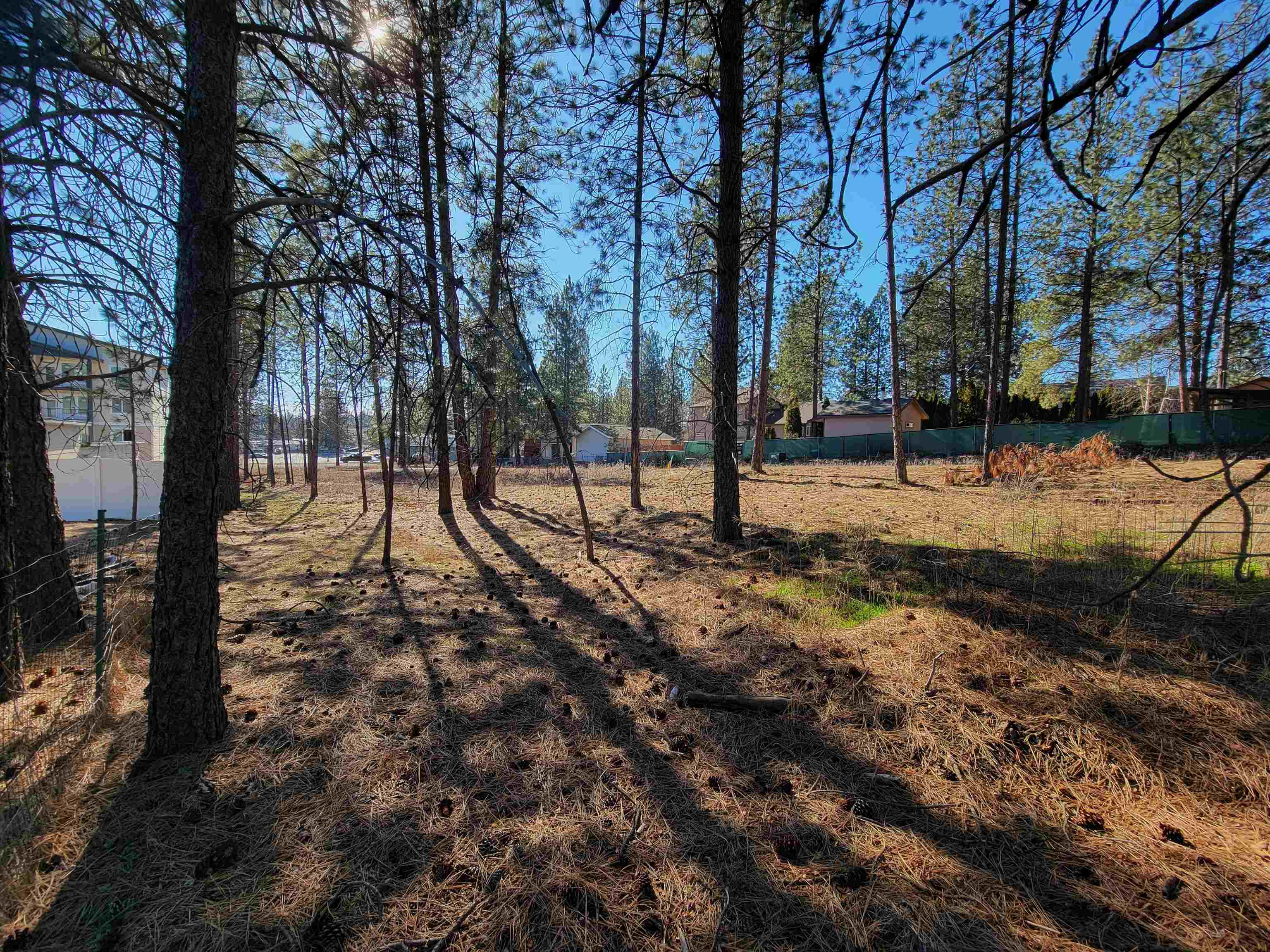 1516 E Center Rd - Photo 4