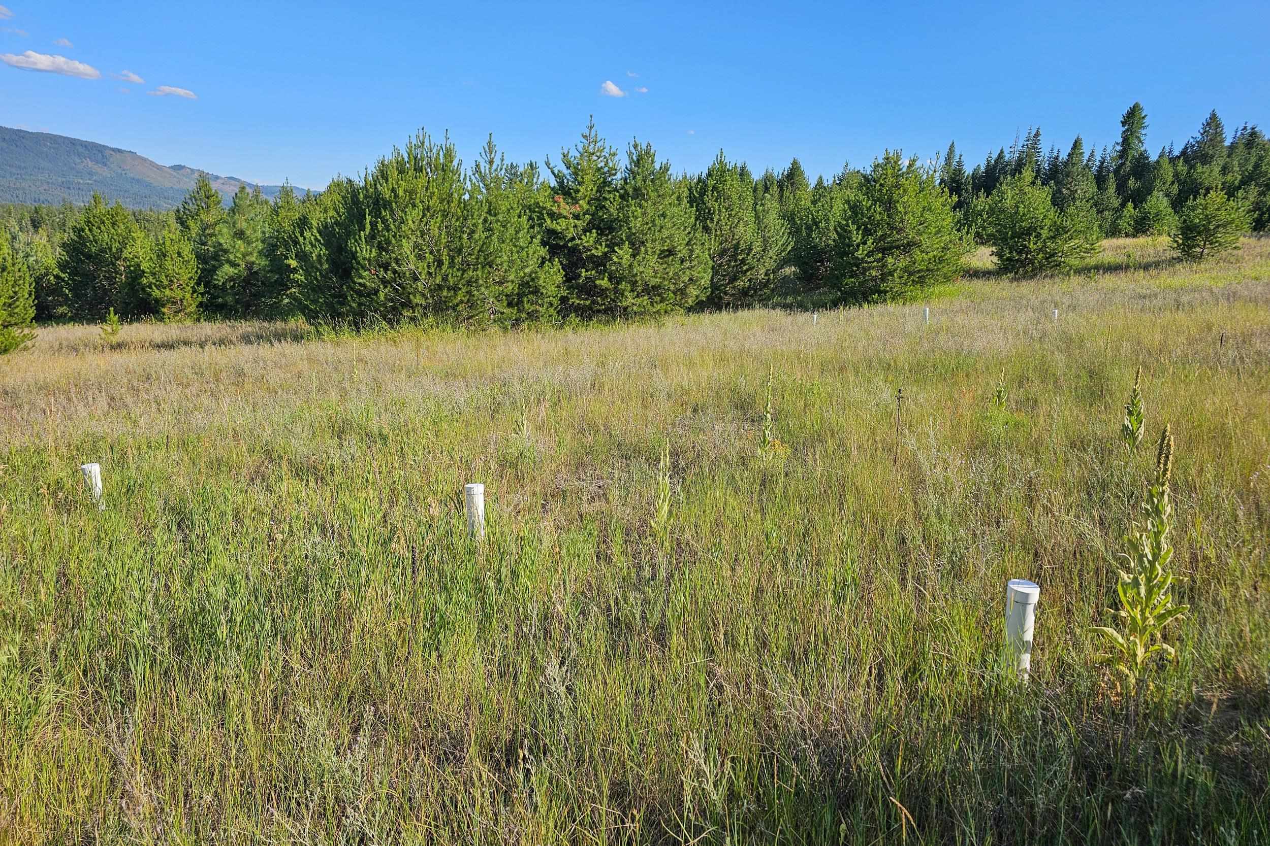 247 Schlegel Ranch Rd - Photo 10