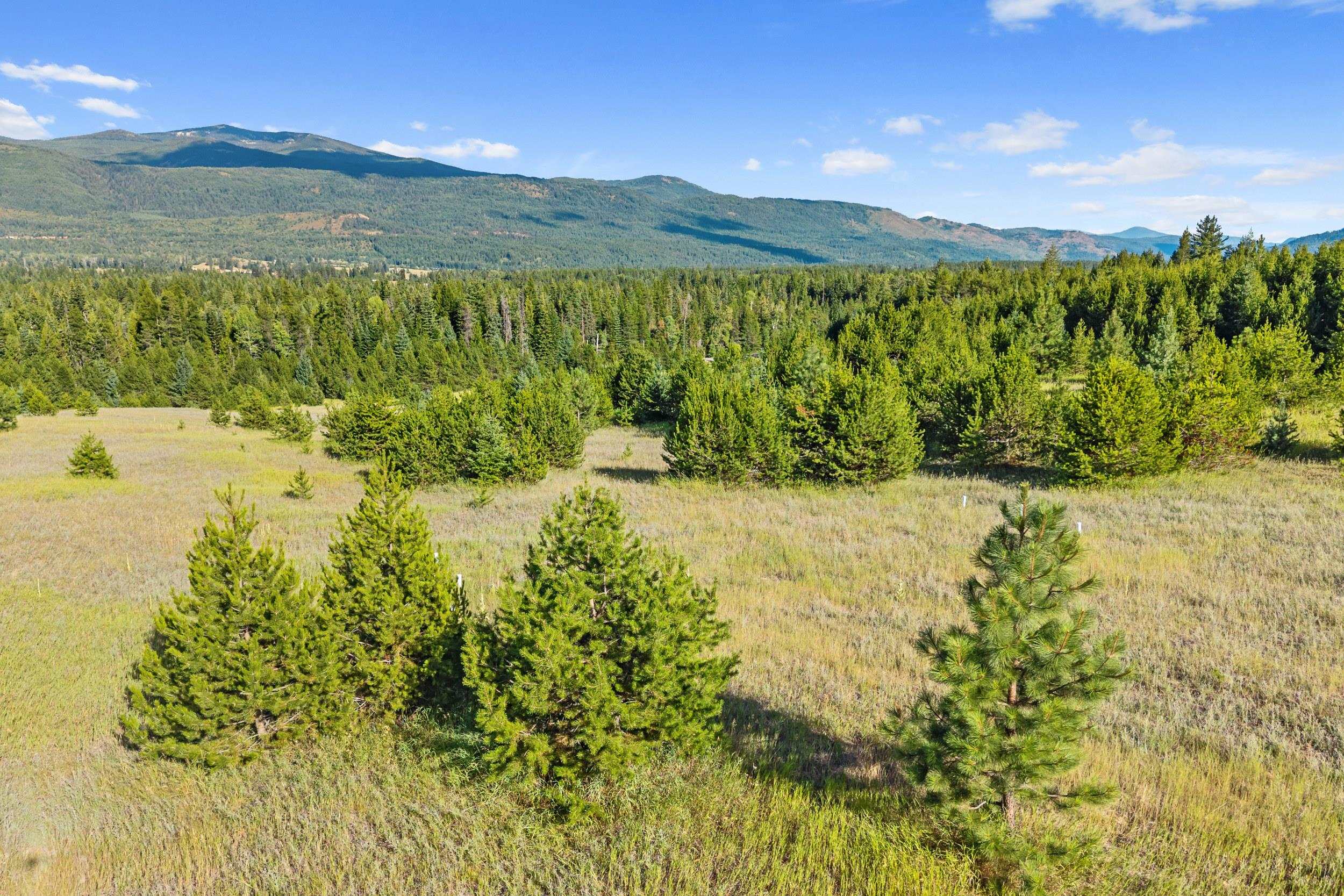 247 Schlegel Ranch Rd - Photo 12