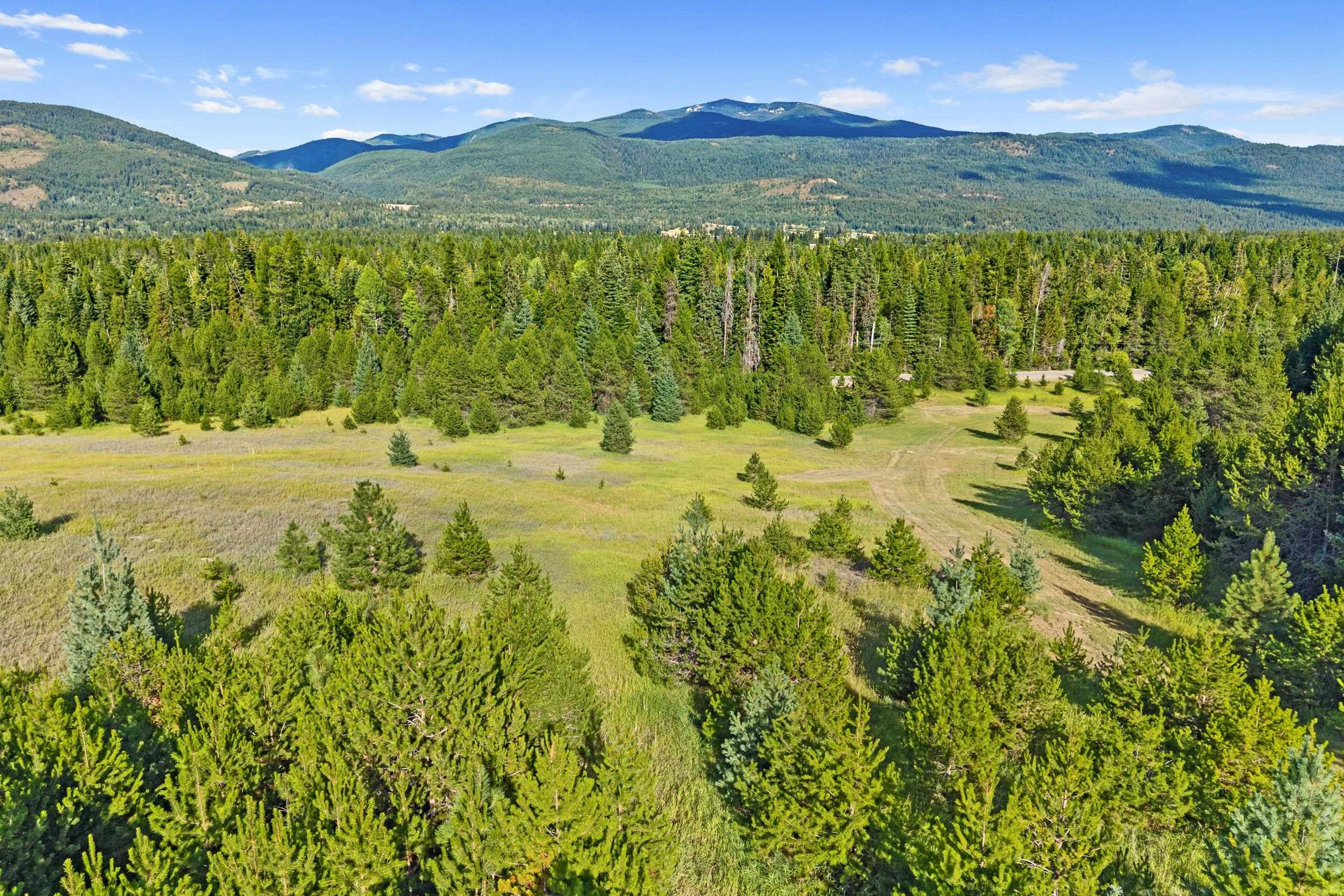 247 Schlegel Ranch Rd - Photo 13