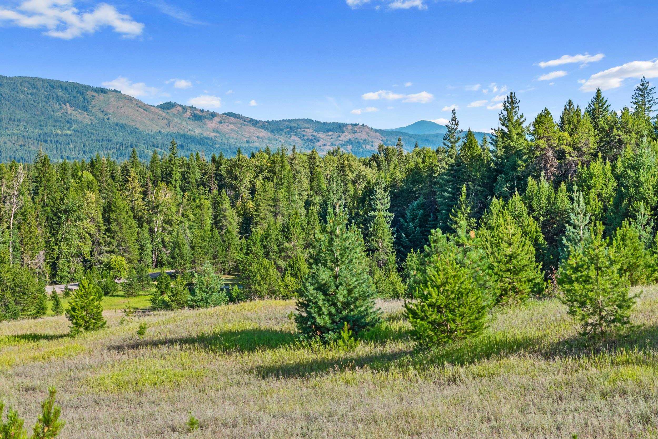 247 Schlegel Ranch Rd - Photo 14