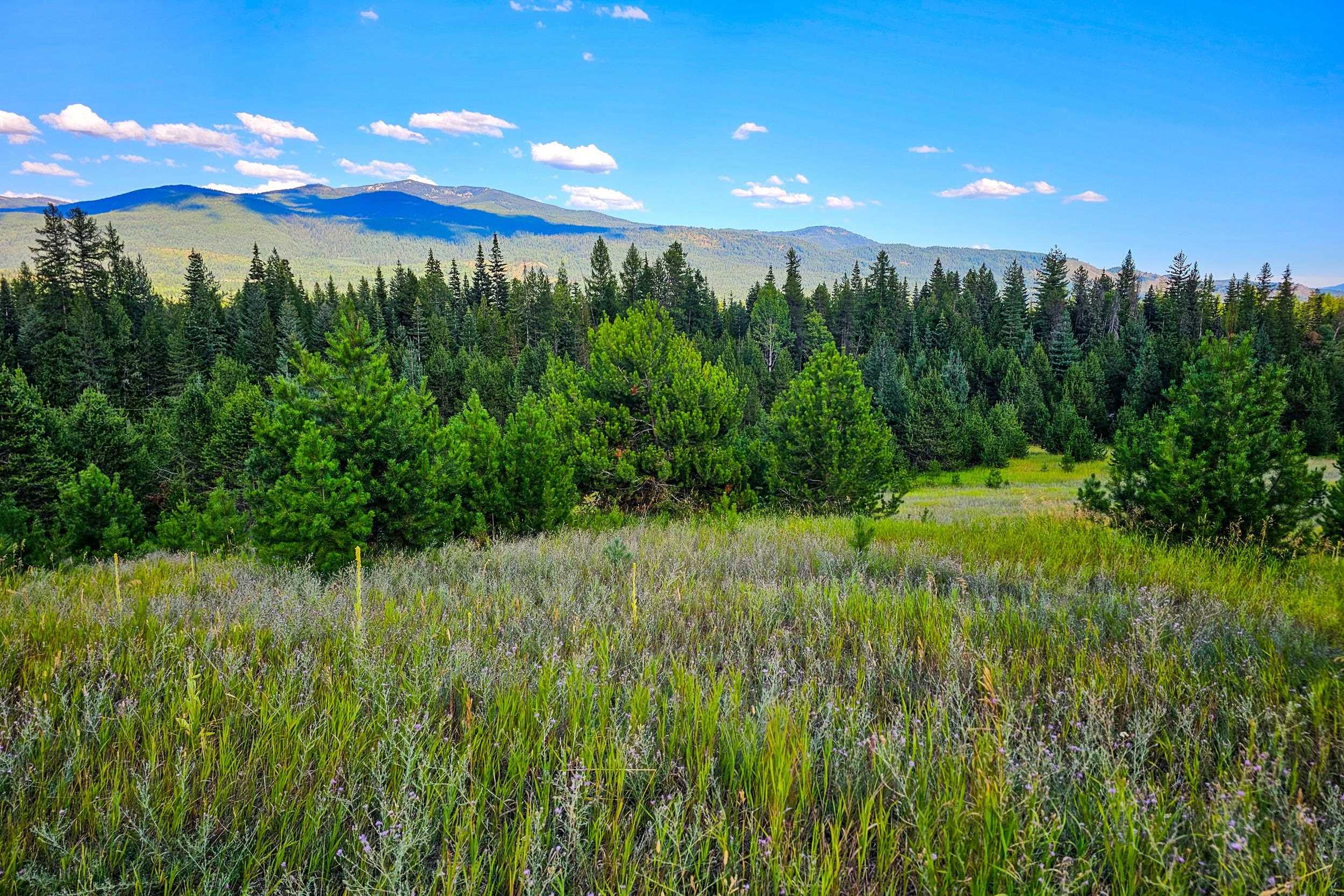 247 Schlegel Ranch Rd - Photo 16