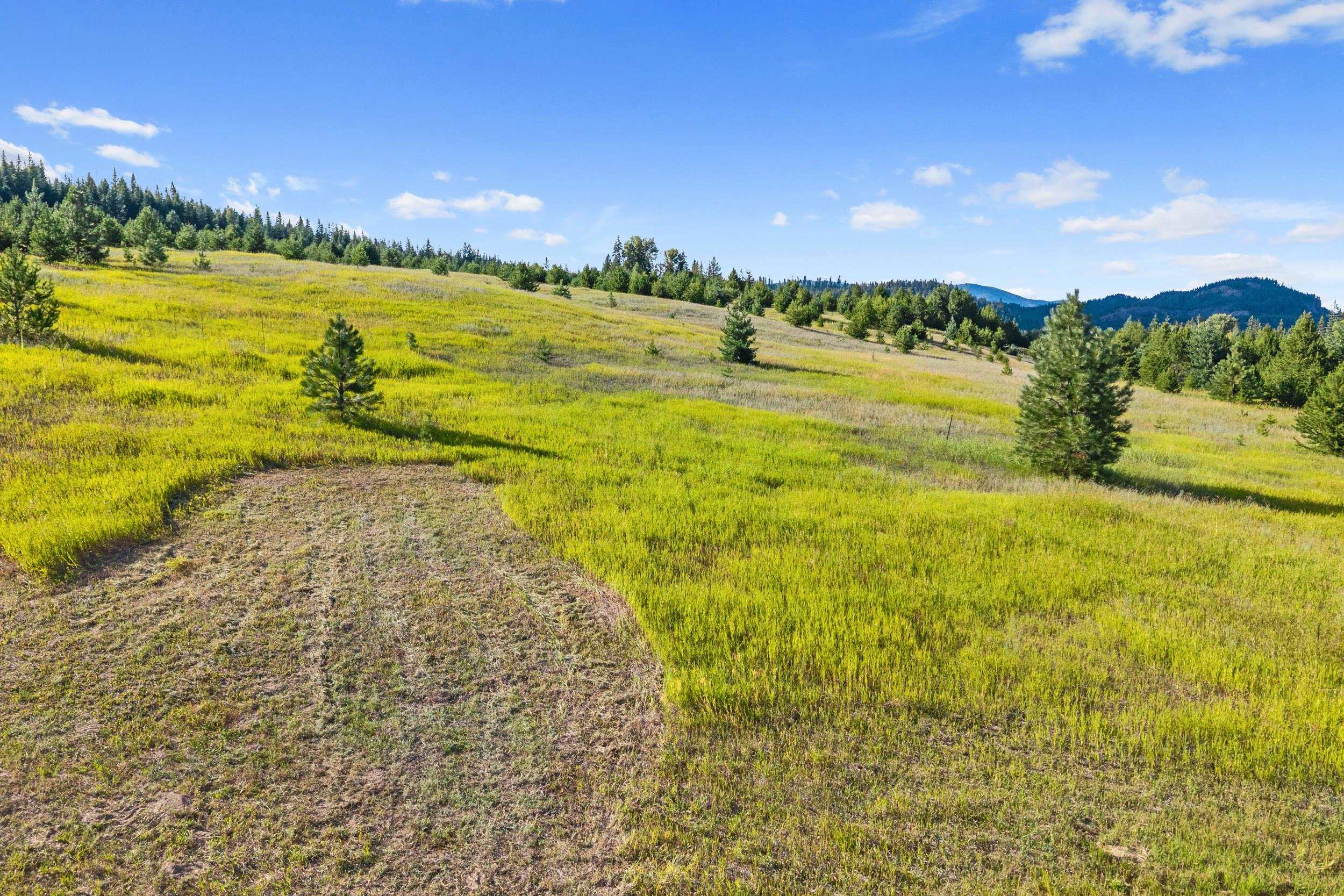 247 Schlegel Ranch Rd - Photo 18