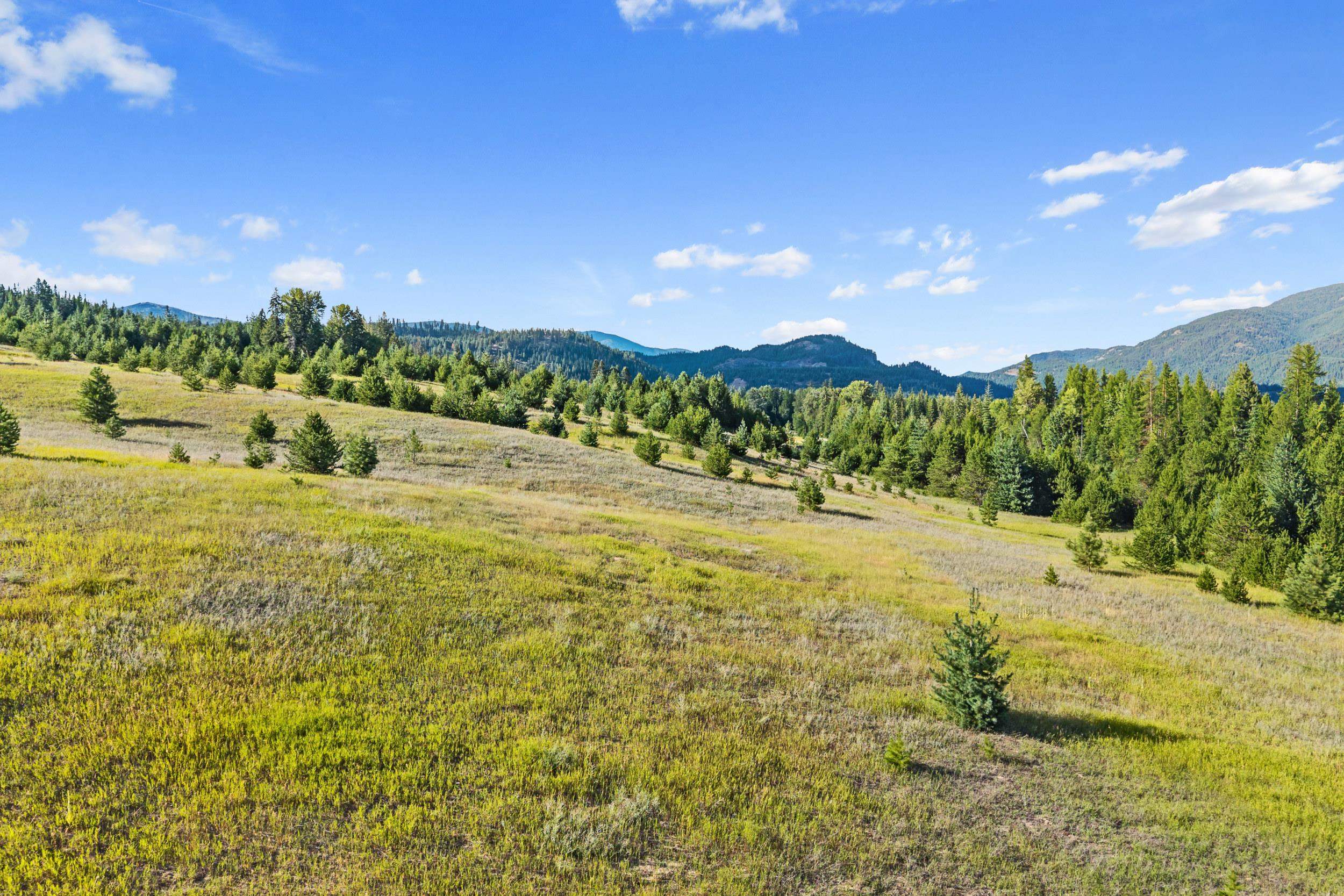 247 Schlegel Ranch Rd - Photo 19