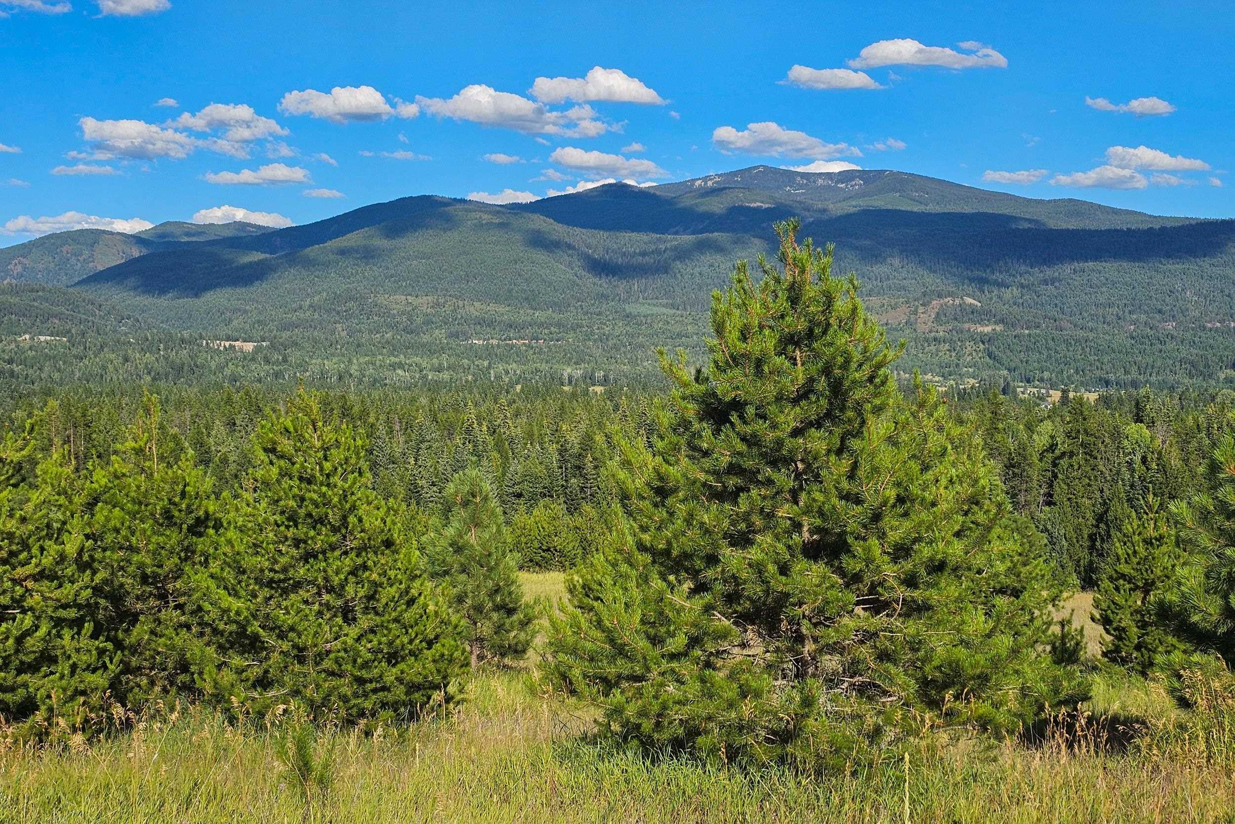 247 Schlegel Ranch Rd - Photo 21