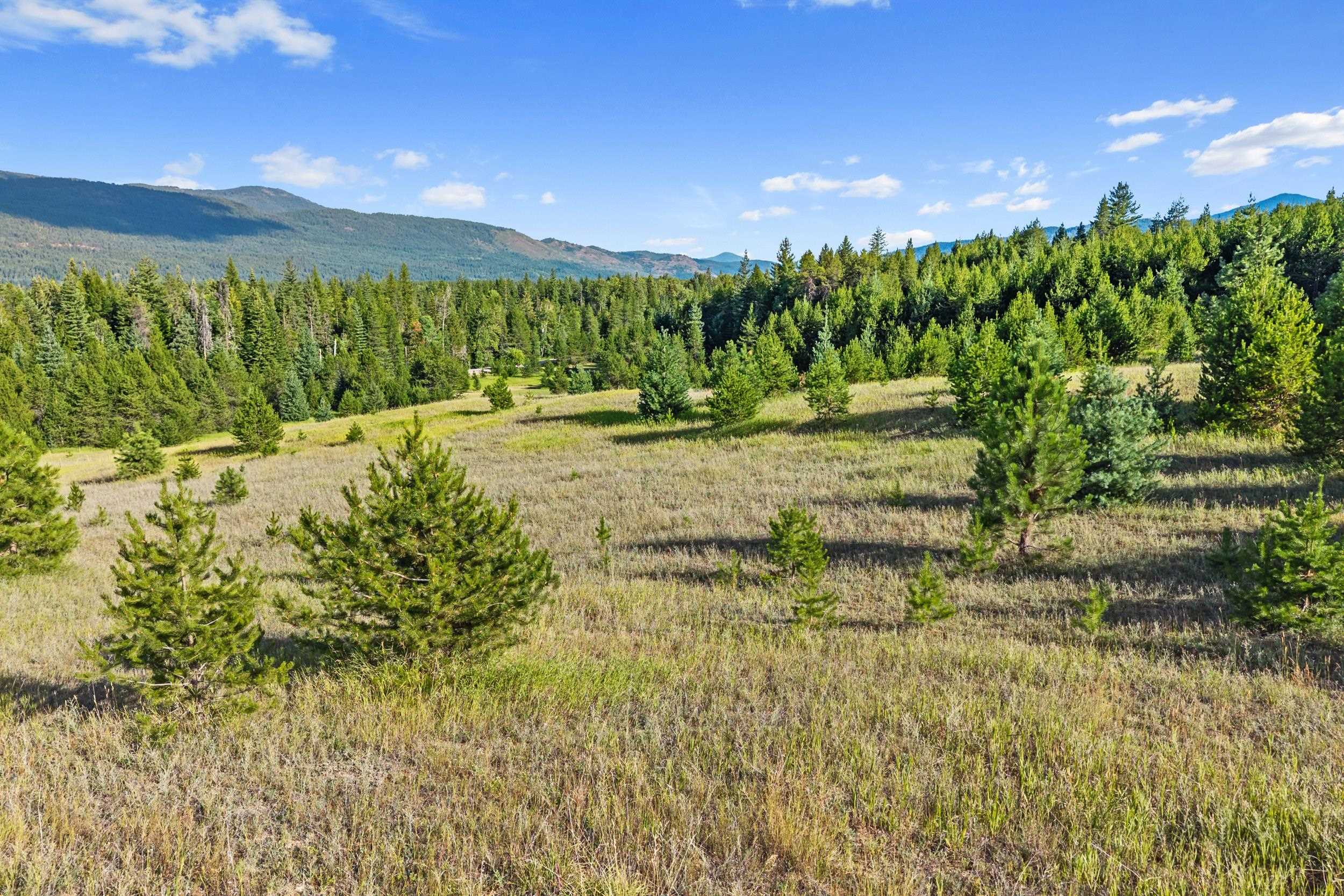 247 Schlegel Ranch Rd - Photo 25
