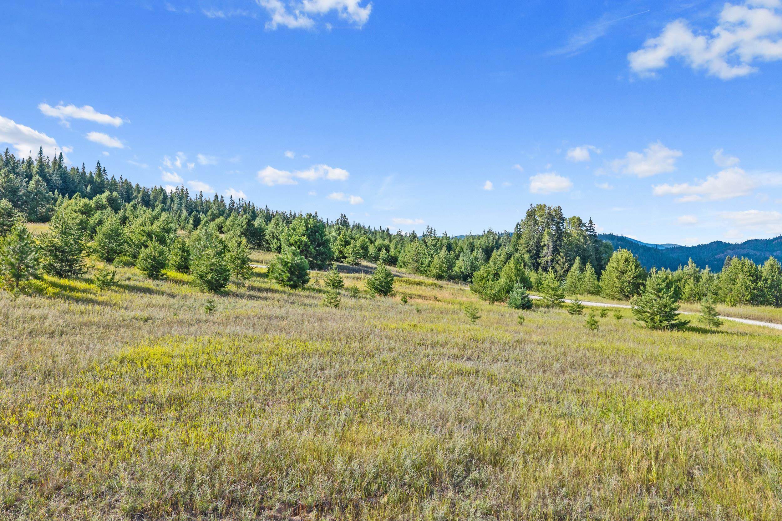 247 Schlegel Ranch Rd - Photo 26