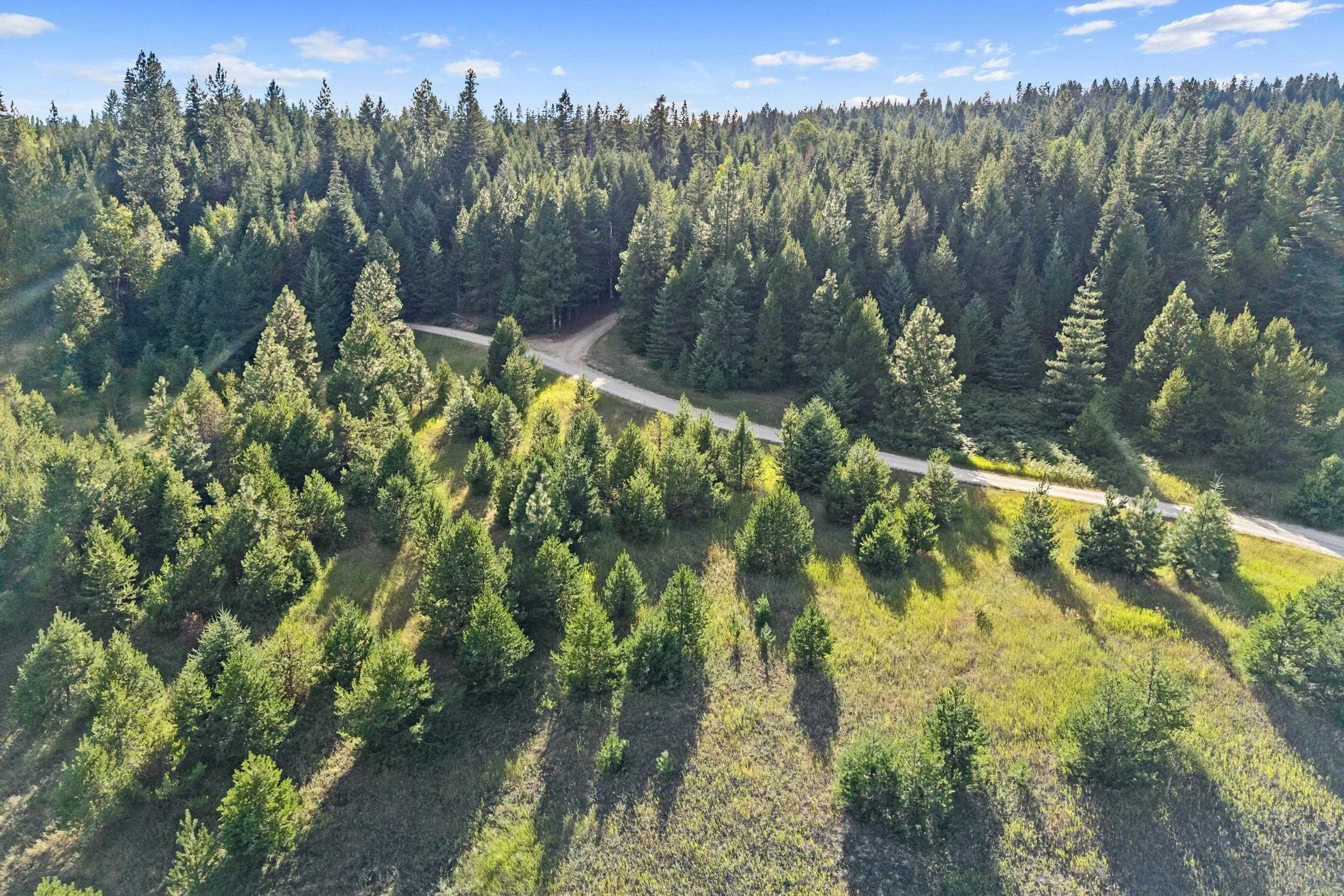247 Schlegel Ranch Rd - Photo 27